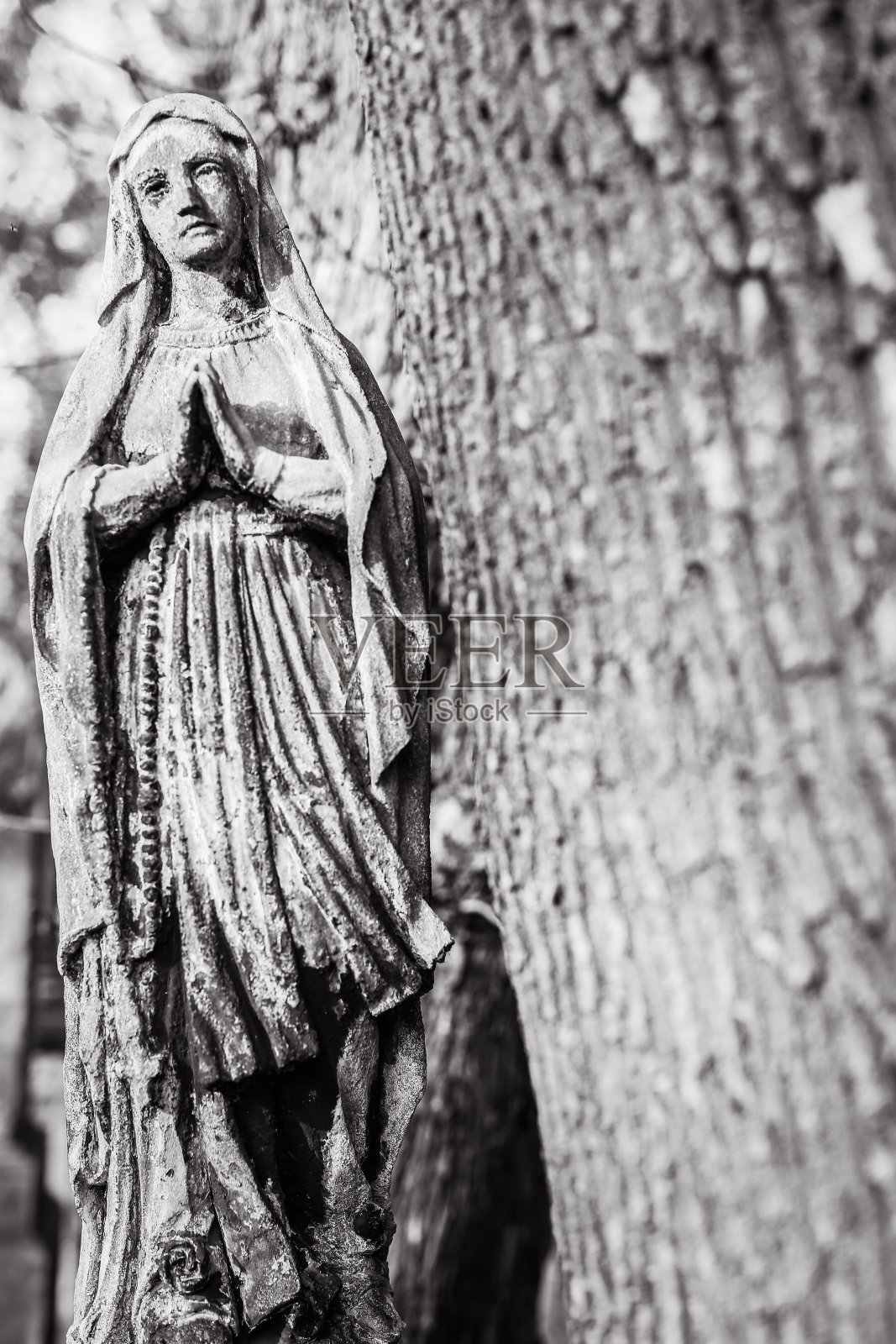 圣玛丽雕像照片摄影图片