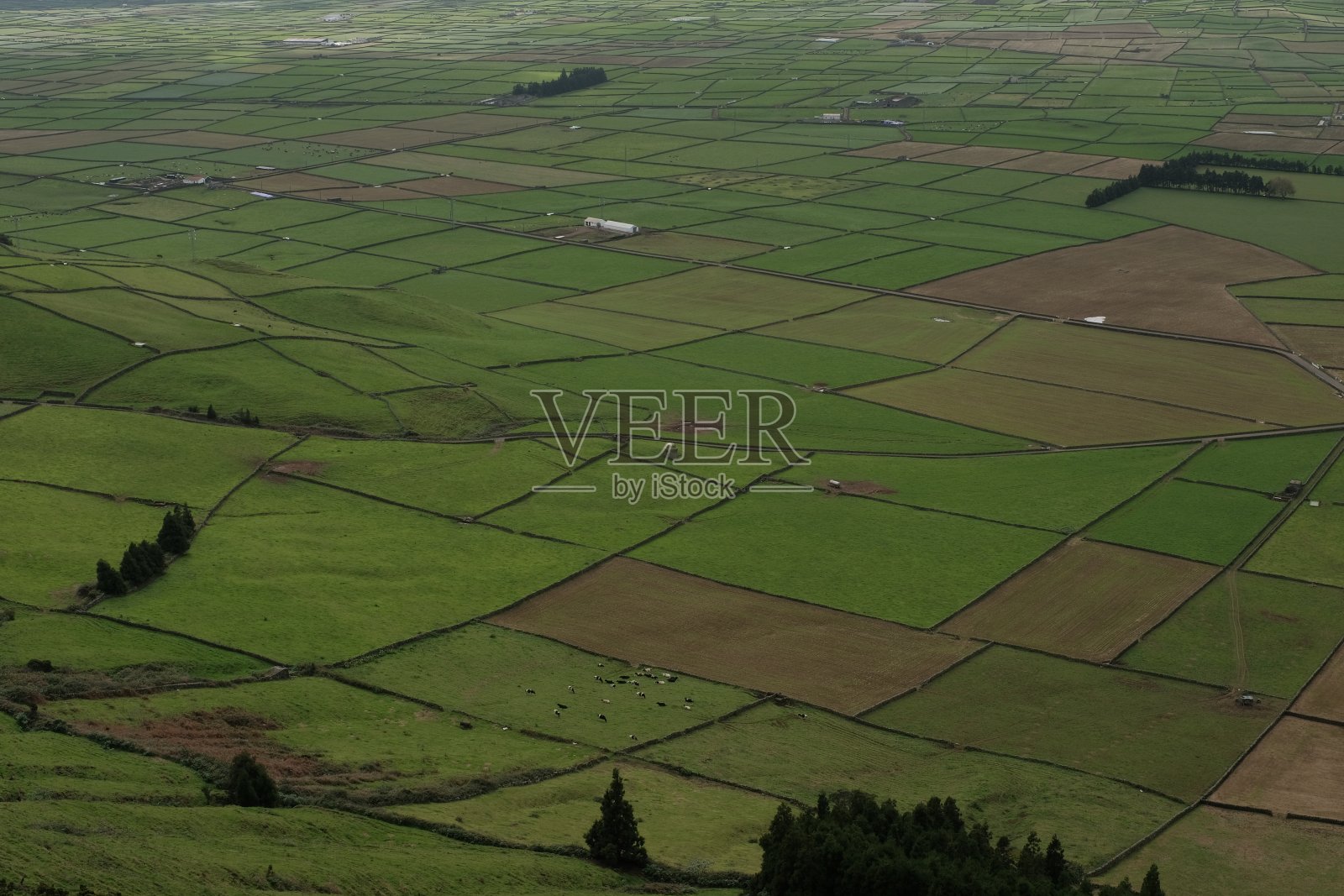 特塞拉岛景观004照片摄影图片