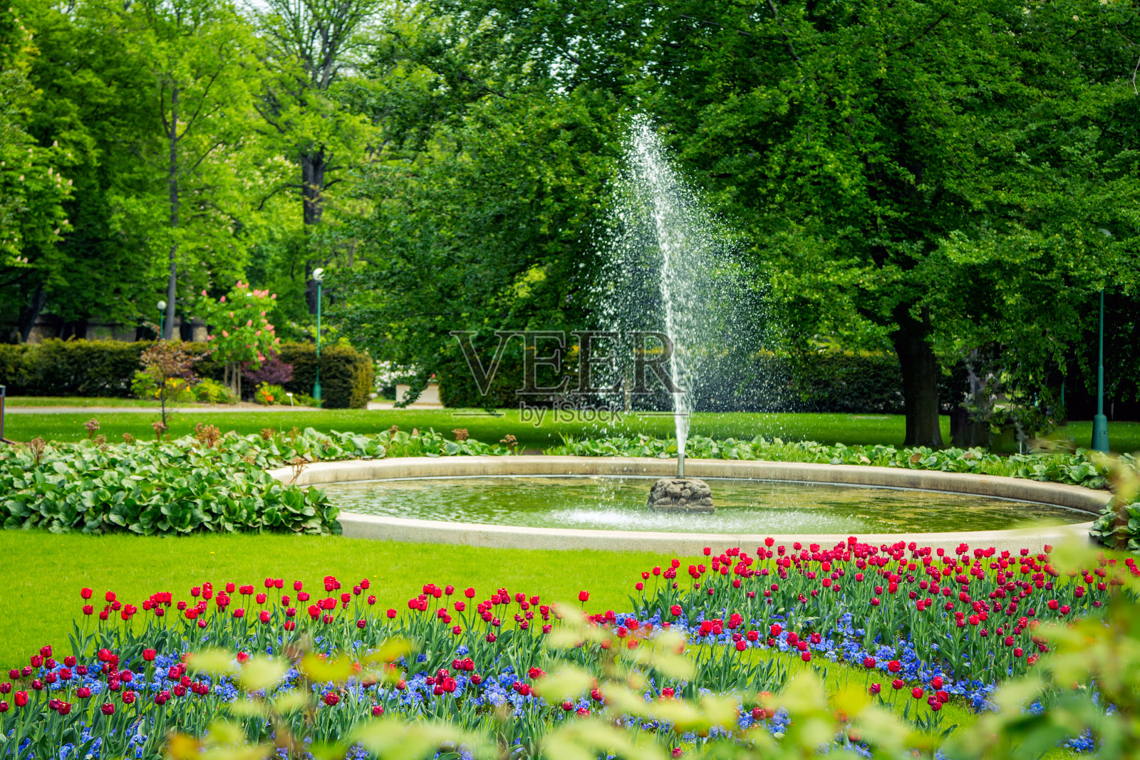 美丽的公园有喷泉和五颜六色的花照片摄影图片
