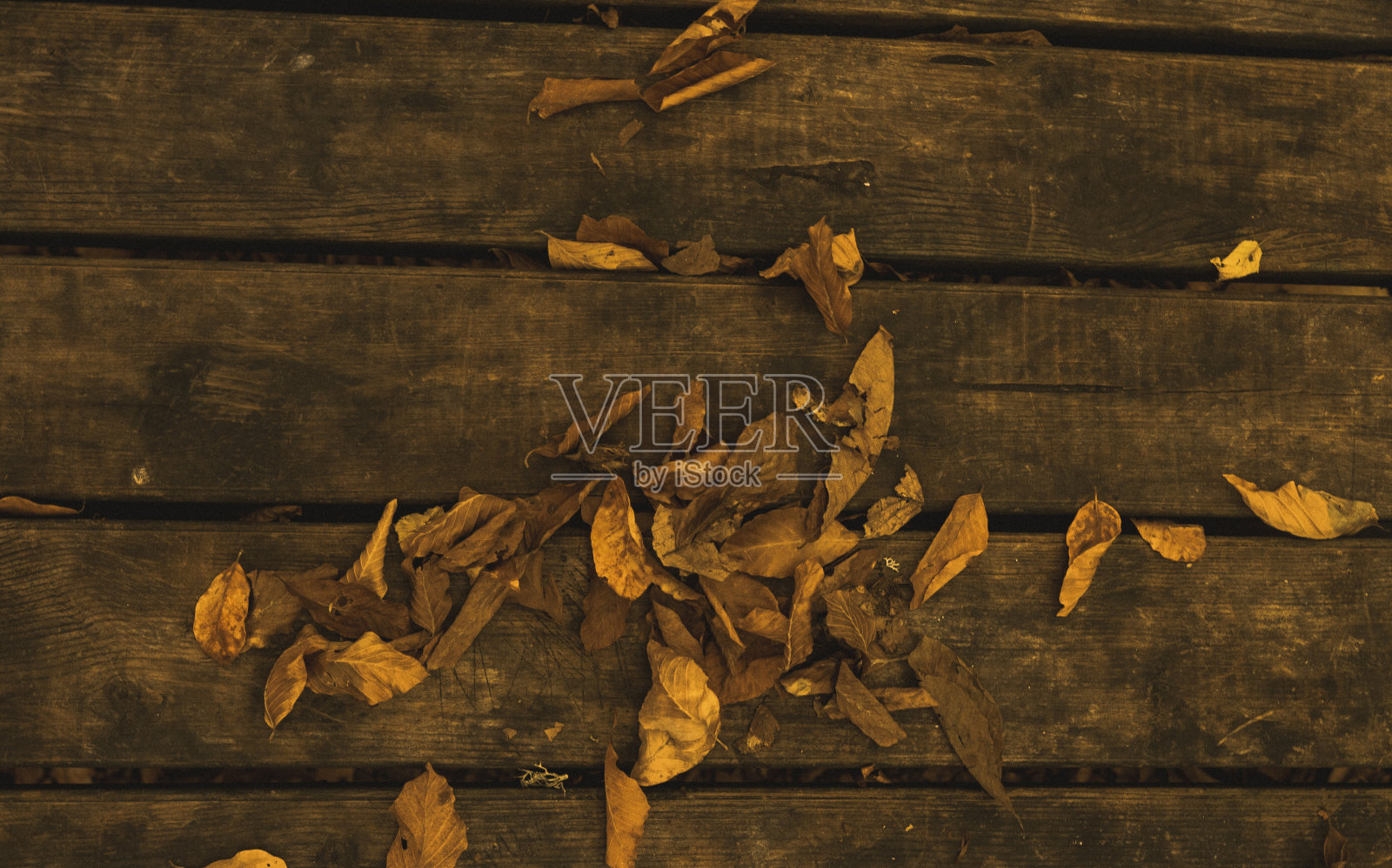 树叶上的老浅棕色木制桌子俯视视图照片摄影图片