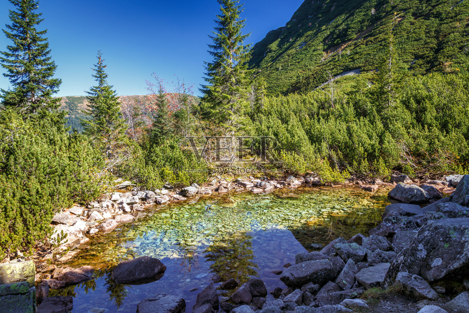秋天的山地景观有褐色。照片摄影图片