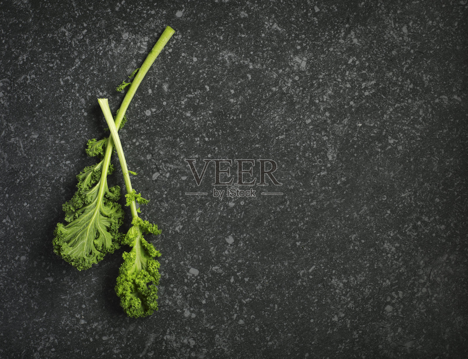 新鲜甘蓝叶子照片摄影图片