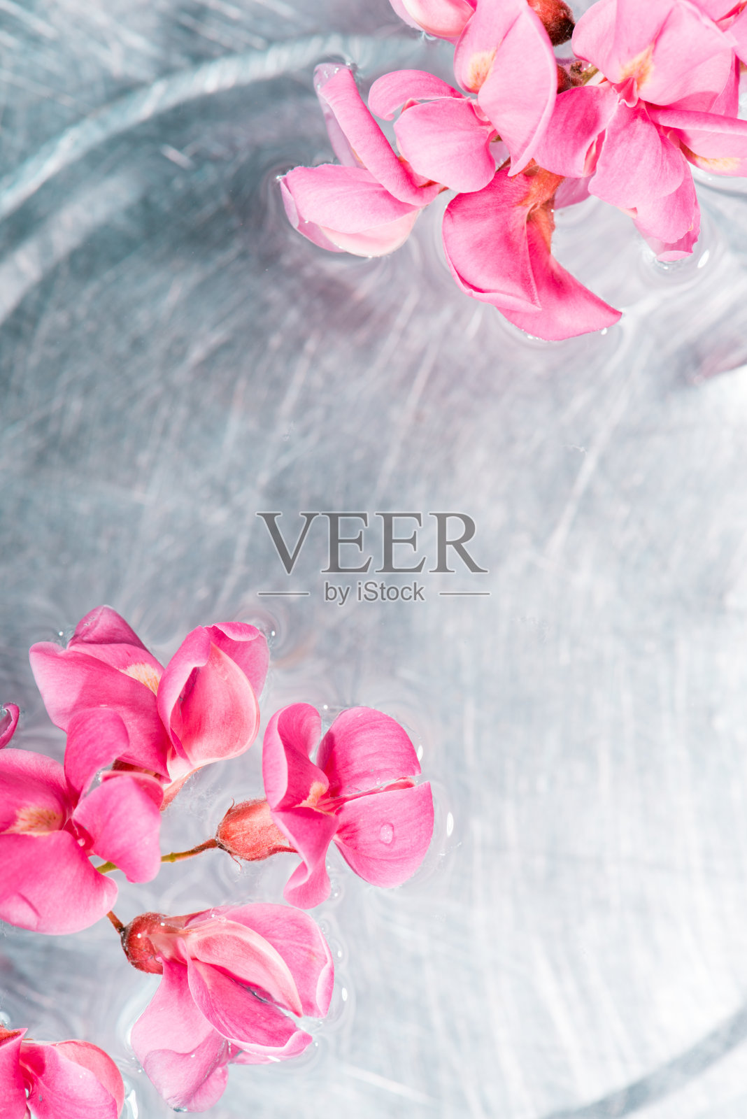 花与水背景照片摄影图片