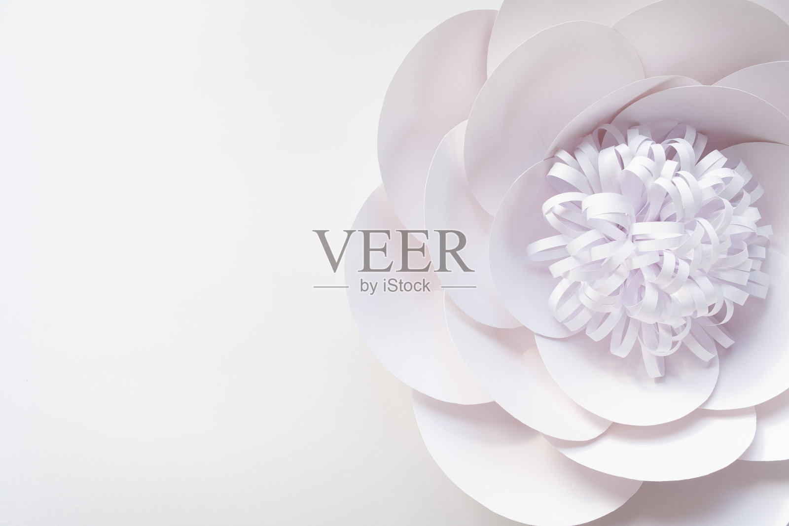 精致的白玫瑰近距离模糊抽象的背景照片摄影图片