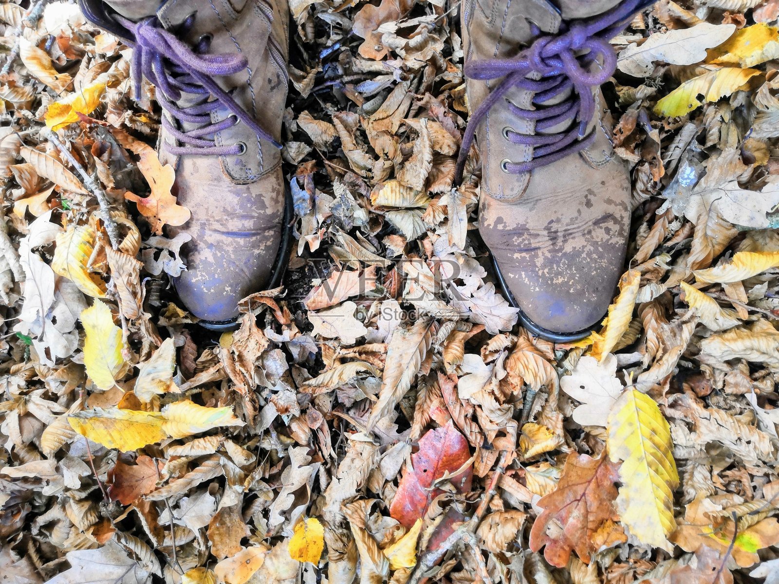 靴子在叶子照片摄影图片