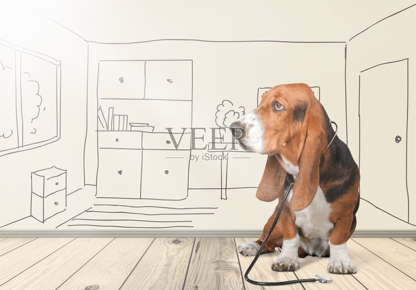 兽医。照片摄影图片