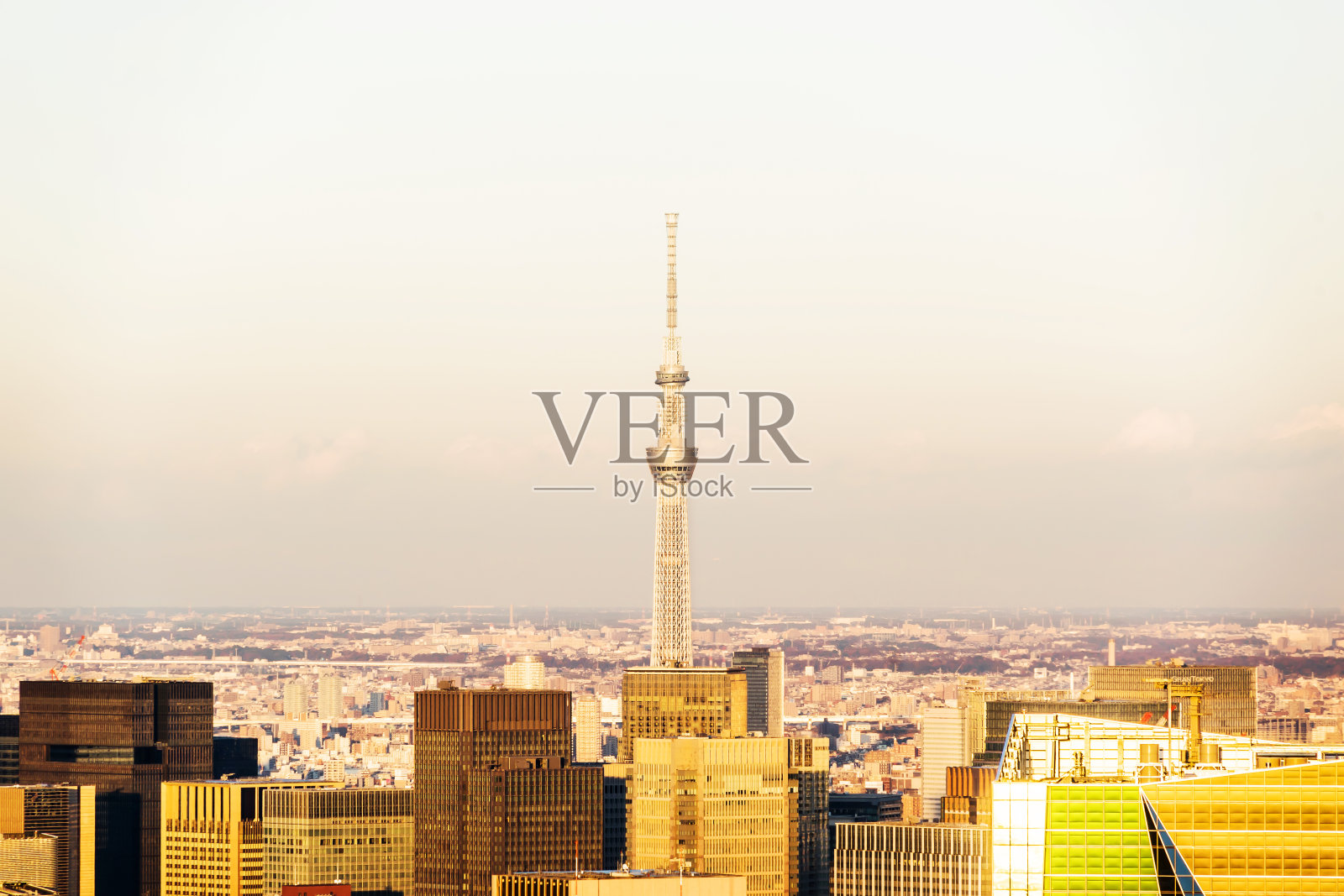 夕阳下的东京塔和城市天际线照片摄影图片