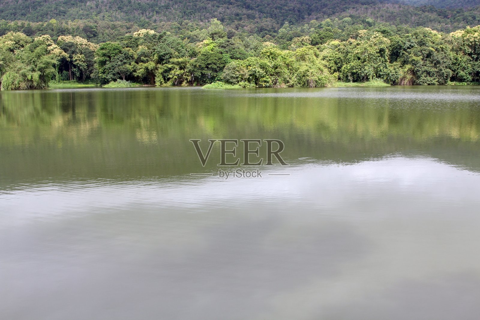 湖泊以森林反射波和高山为背景。照片摄影图片
