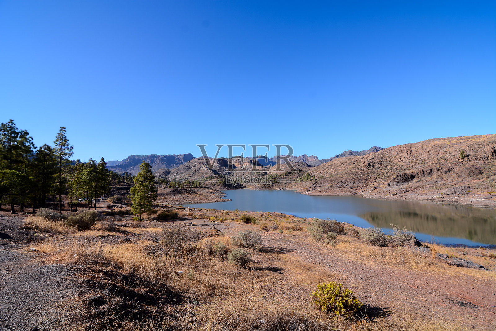 西班牙热带火山加那利群岛的景观照片摄影图片