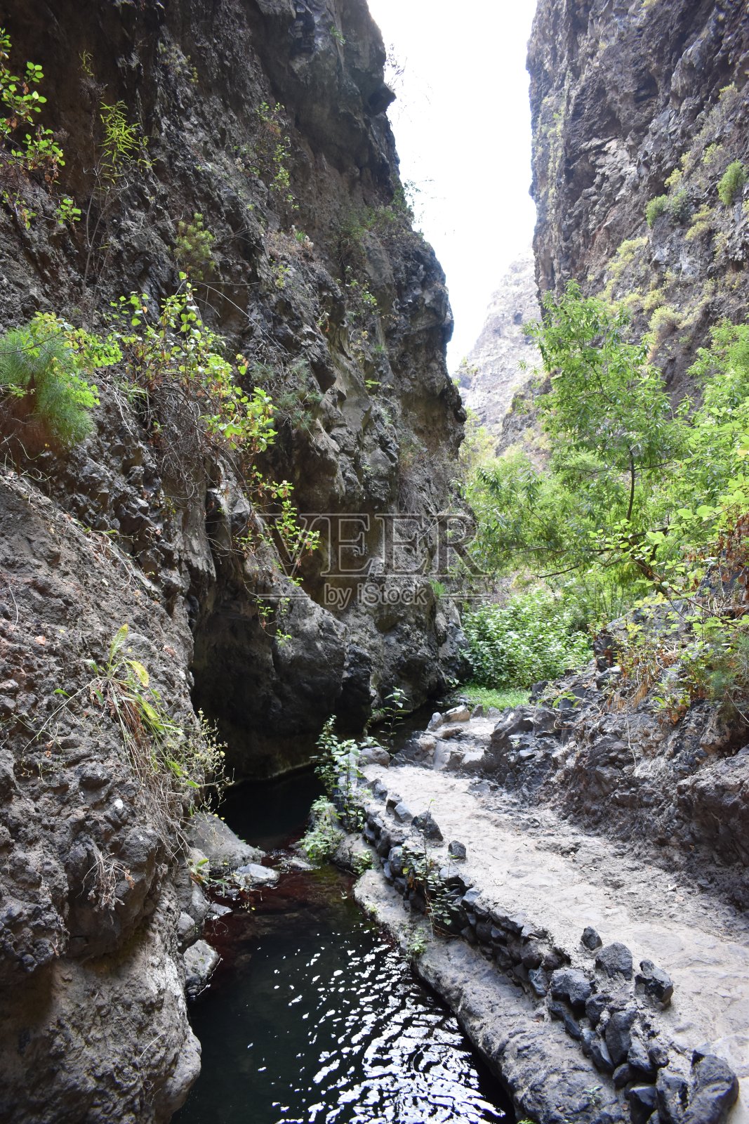 欧洲特内里费岛南部阿德耶著名峡谷巴兰科德尔因菲尔诺徒步旅行路线照片摄影图片