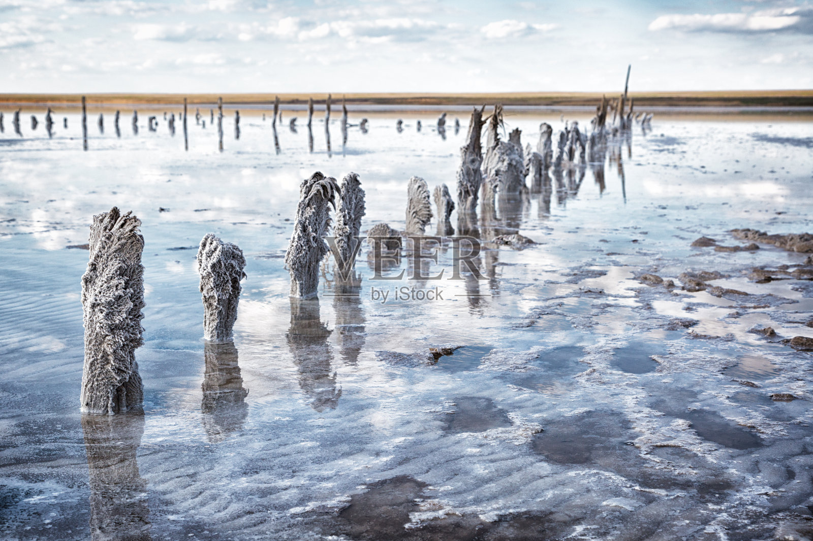 艾尔顿湖，铺满盐的木桩照片摄影图片