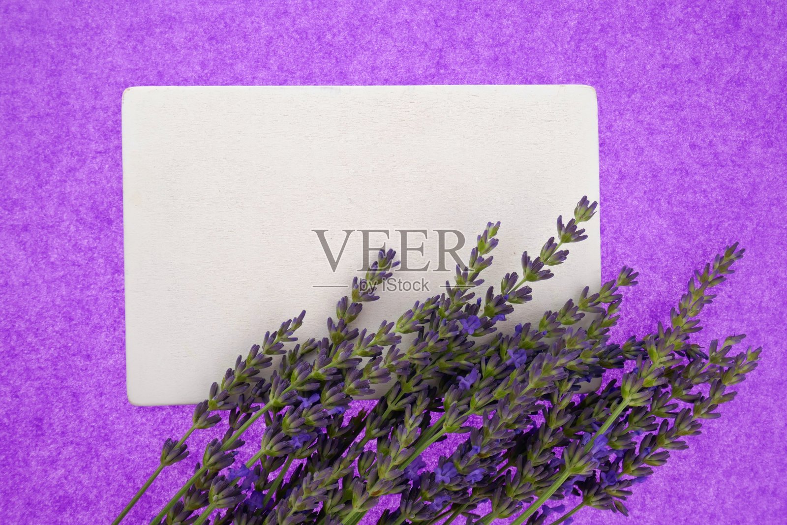 薰衣草。白色空白盘子和薰衣草花在明亮的紫色背景。俯视图，复制空间。薰衣草模型。薰衣草季节照片摄影图片