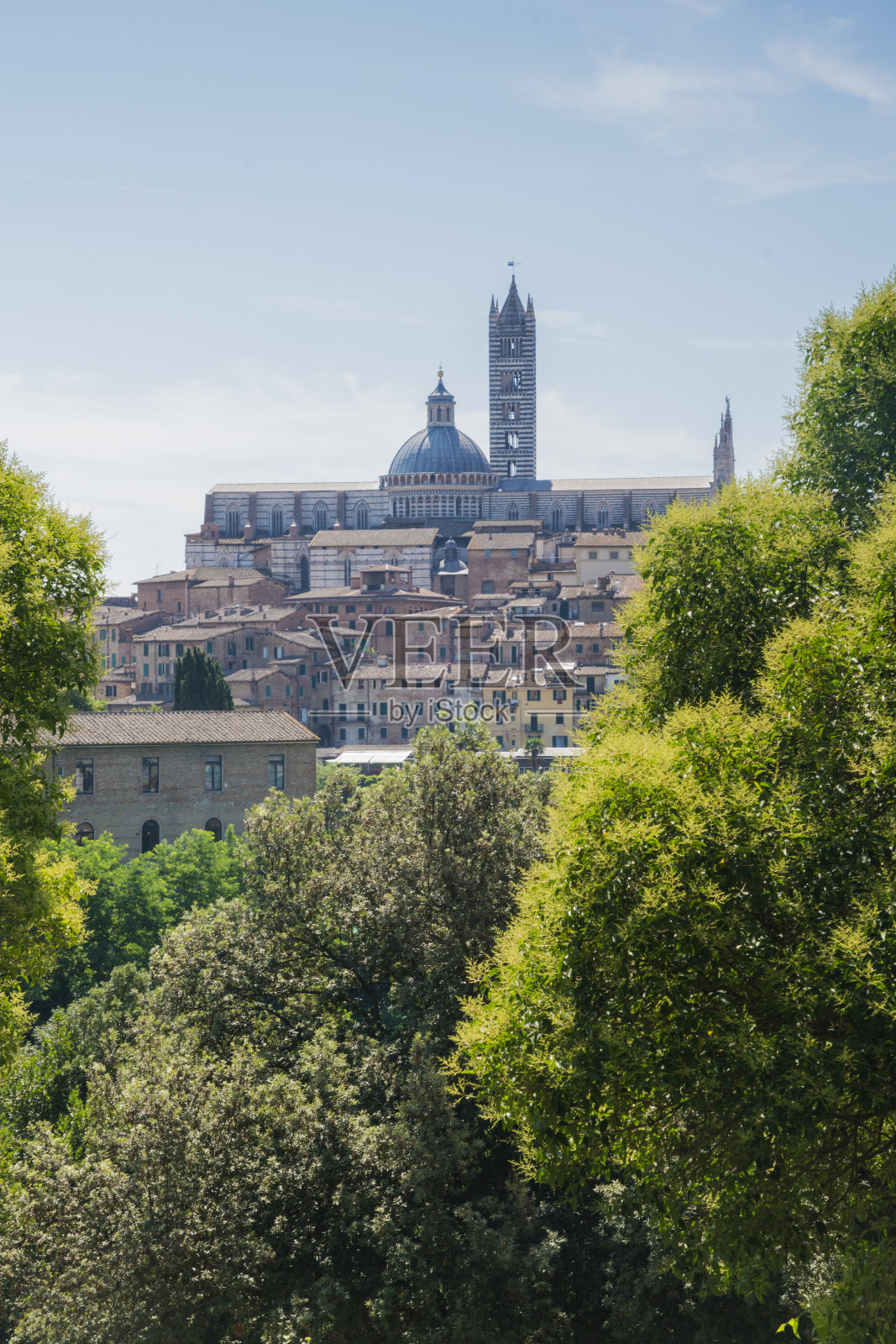 意大利托斯卡纳锡耶纳大教堂的窗户视图照片摄影图片