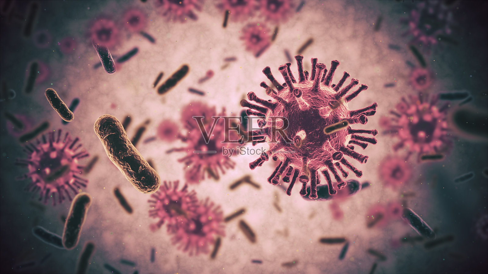 细菌特写镜头照片摄影图片