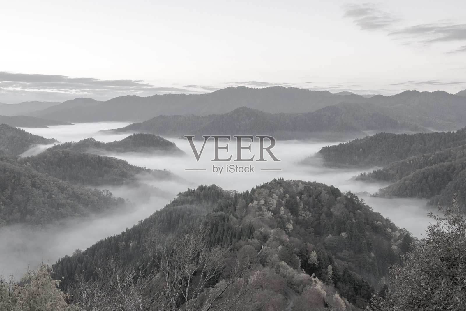 (单色)日本的云海照片摄影图片