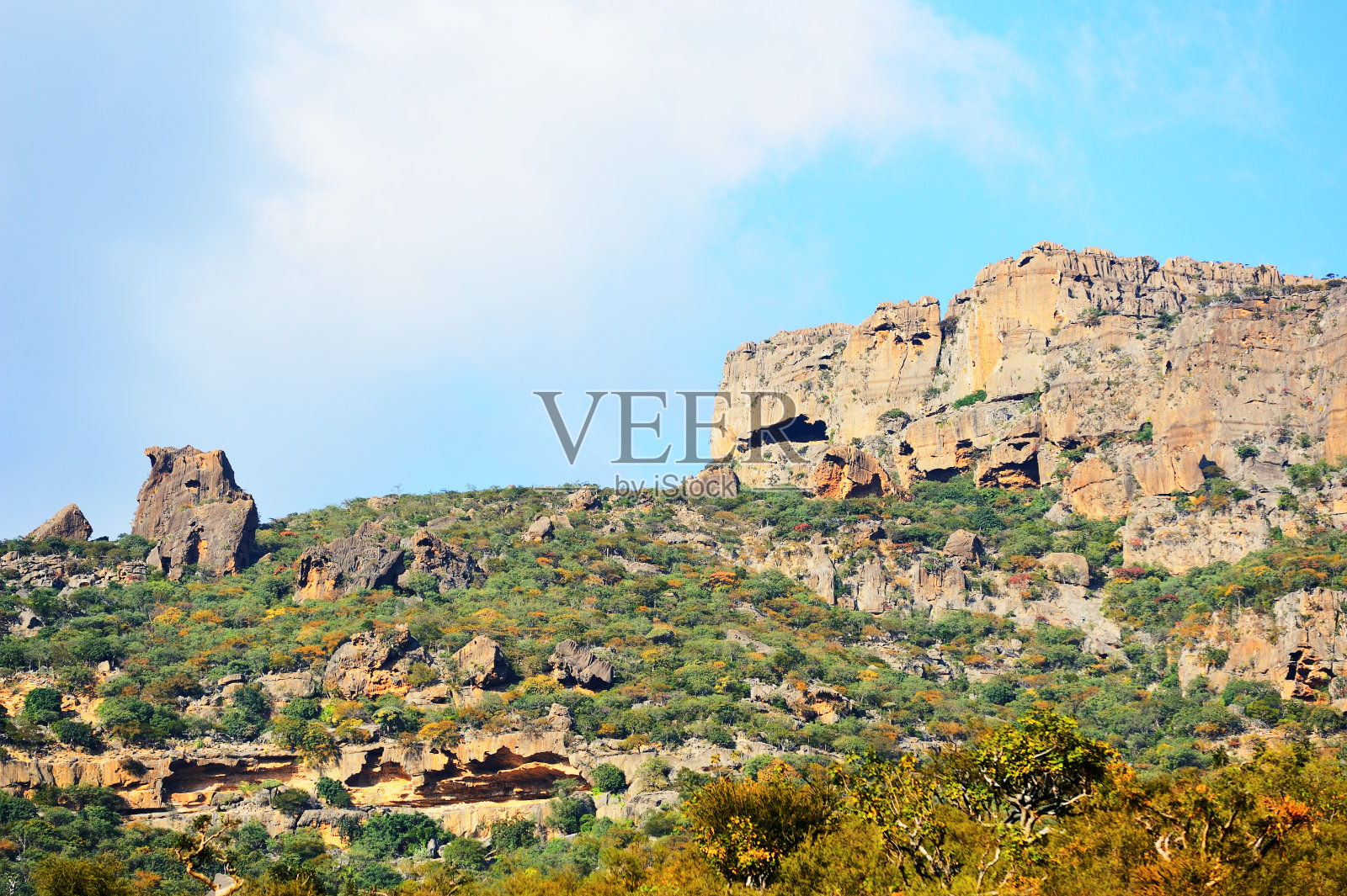 也门索科特拉岛的风景画照片摄影图片