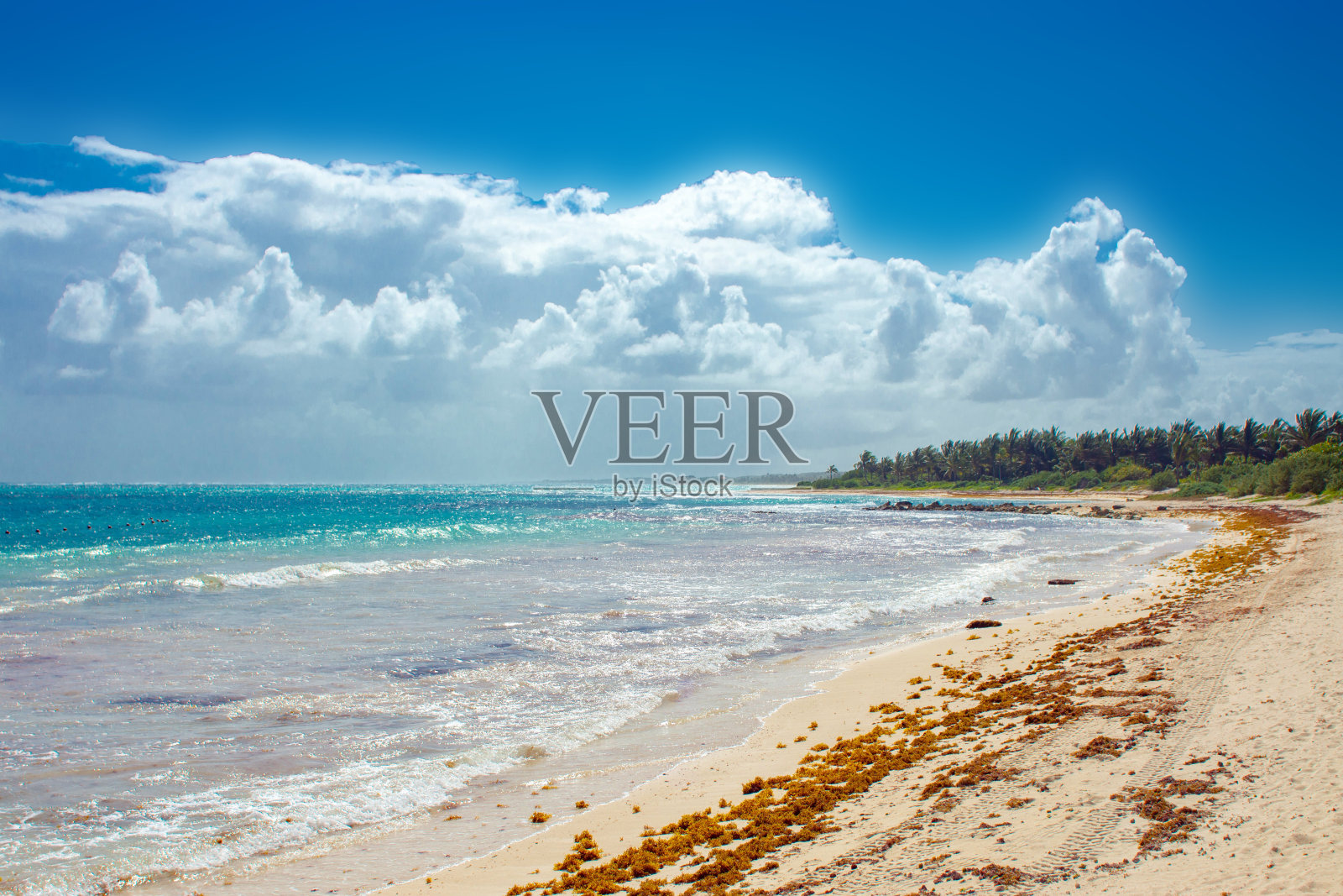 图卢姆的墨西哥海滩照片摄影图片