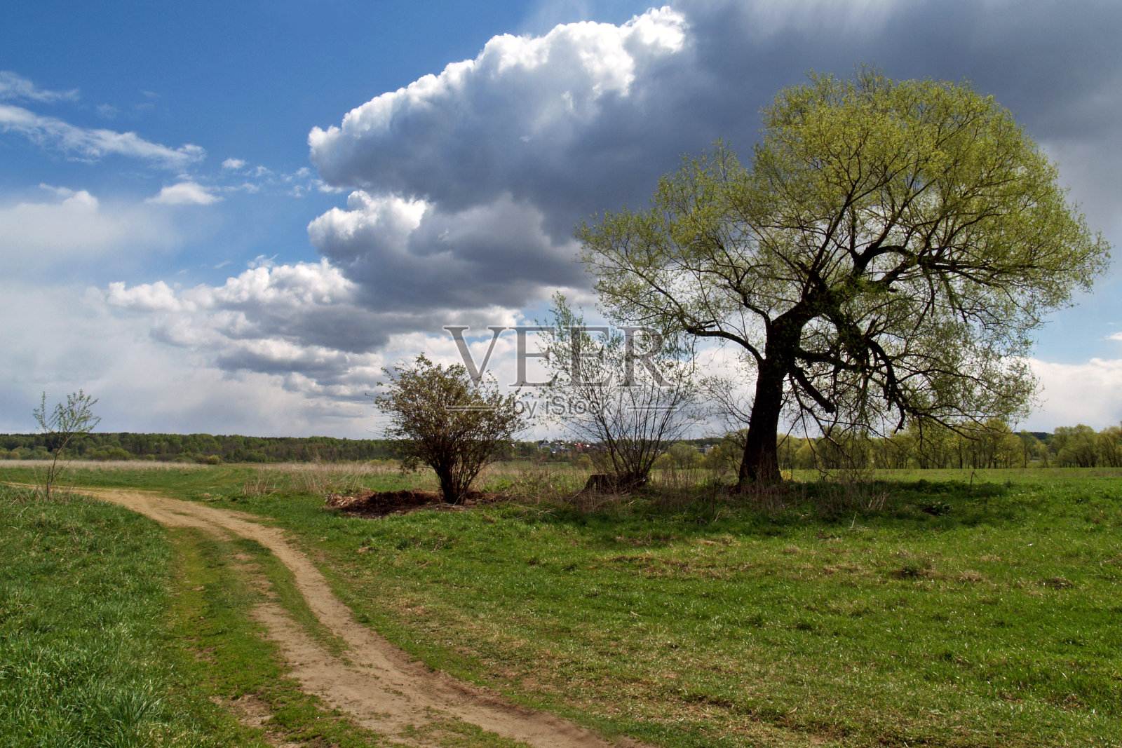 俄罗斯风景:莫斯科地区的道路和树照片摄影图片