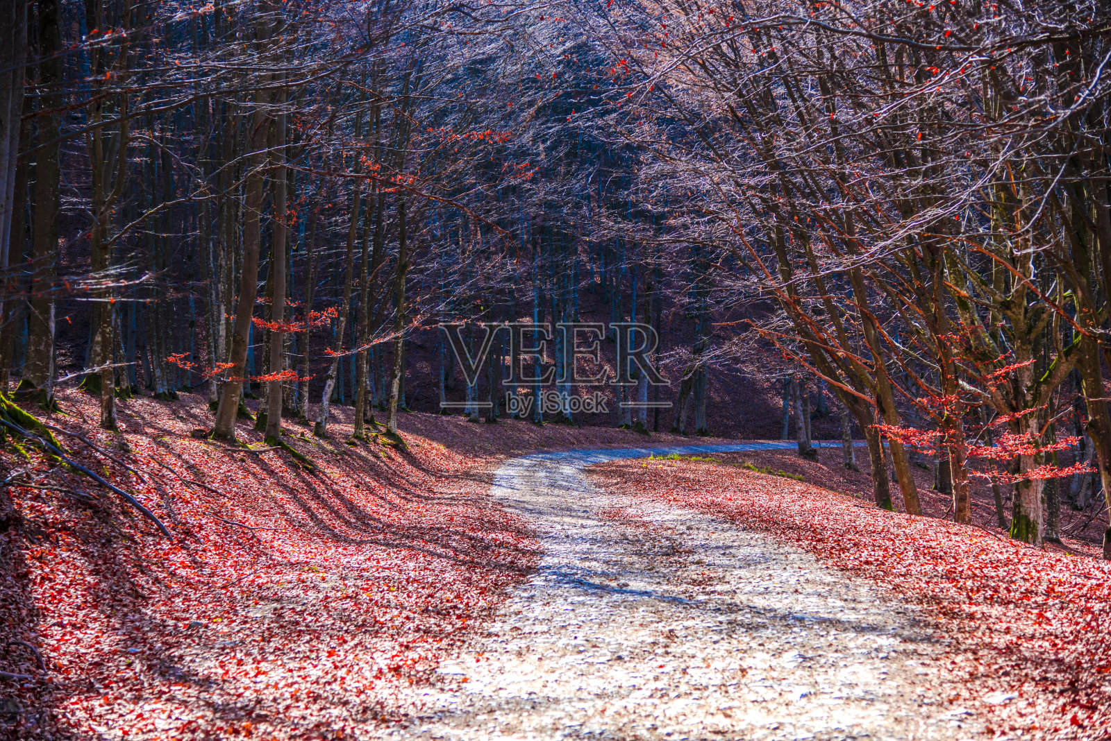 秋天的风景照片摄影图片