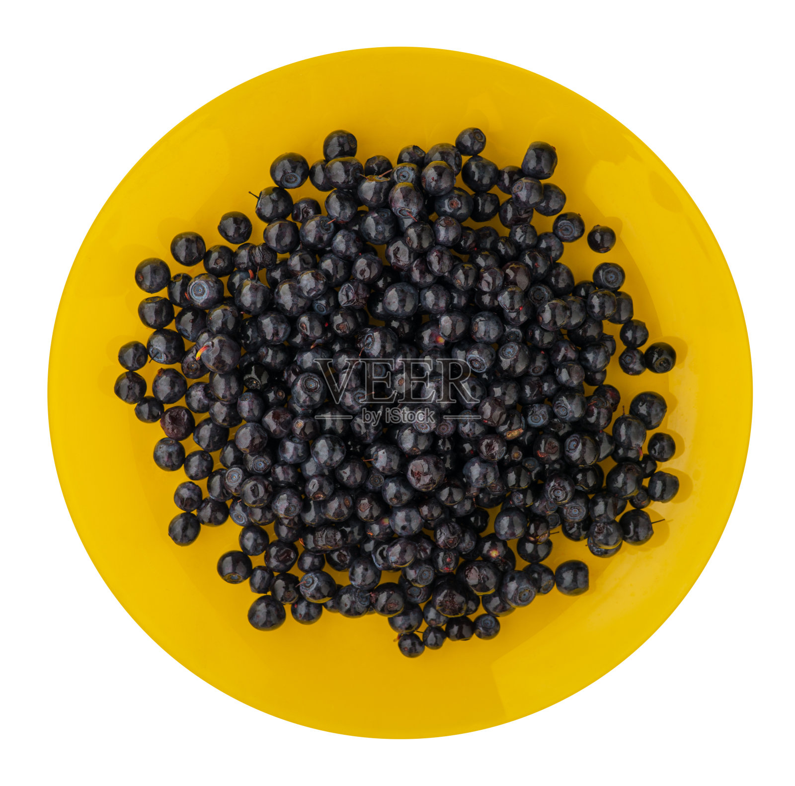 蓝莓放在盘子上，孤立在白色背景上。蓝莓类上照片摄影图片