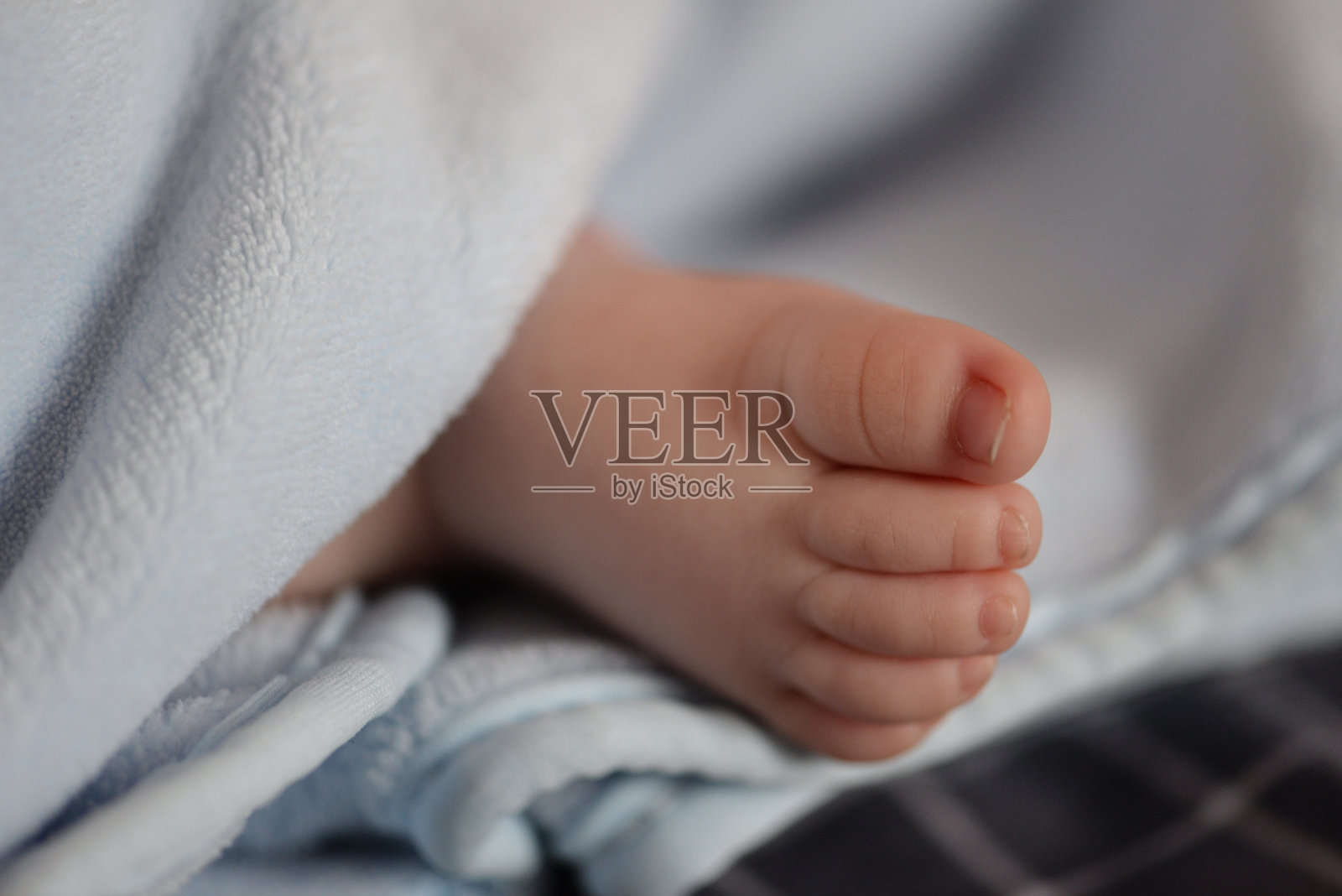 蓝色毯子下柔软的小婴儿的脚。照片摄影图片