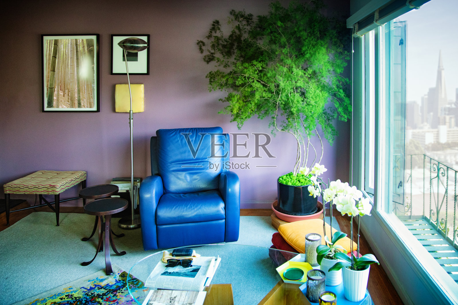 阳光明媚的美国人住在客厅里，有一把蓝色的皮椅照片摄影图片