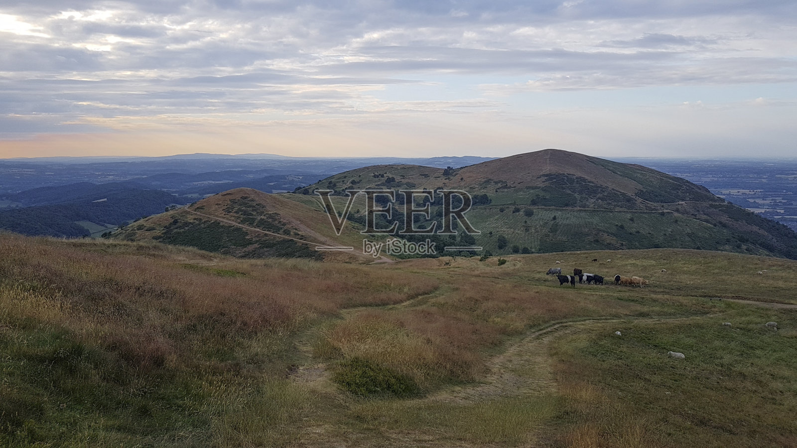 莫尔文丘陵，伍斯特郡，英格兰照片摄影图片