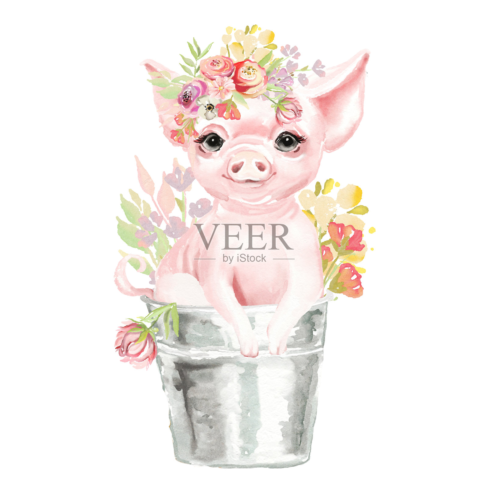 可爱的水彩猪、小猪、小猪用花、花束、花圈放在桶里插画图片素材