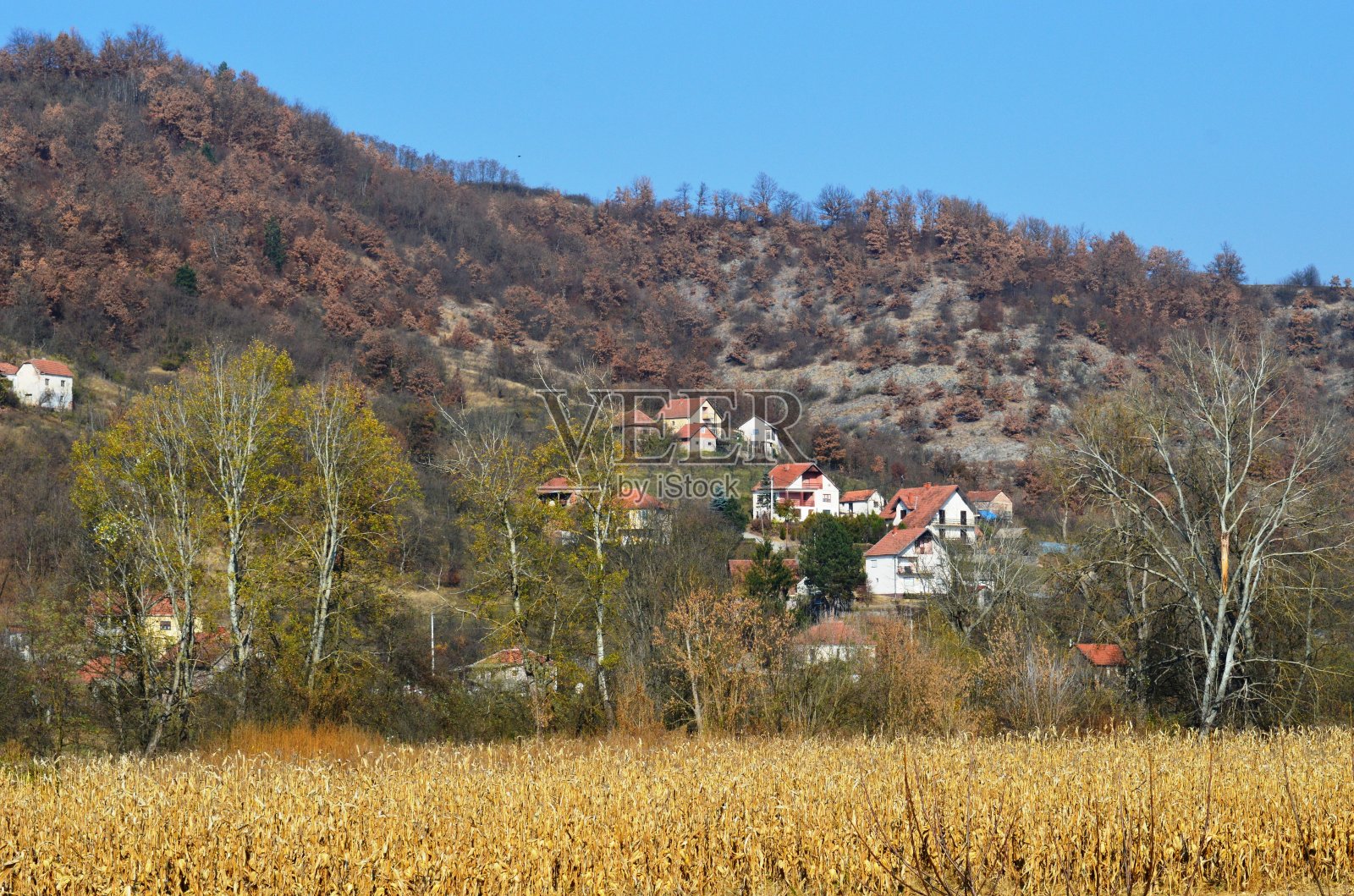秋天的乡村风景照片摄影图片