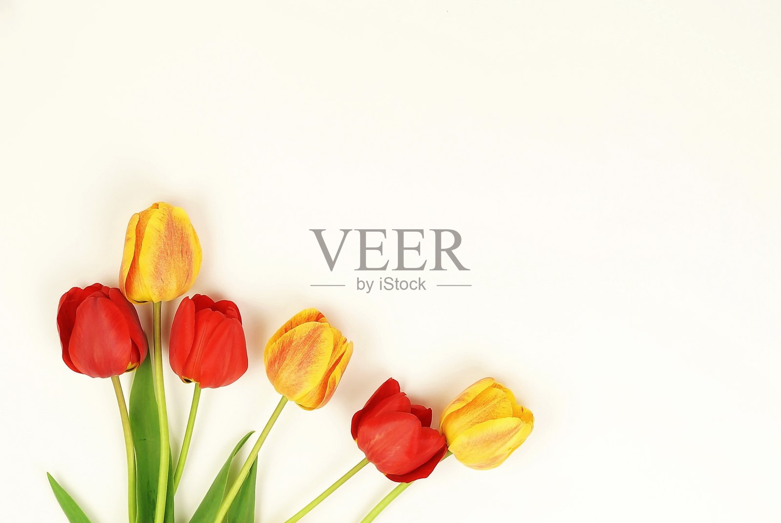 花组成的背景。白色背景上一束红色和黄色的郁金香。前视图。副本的空间。节日的概念。照片摄影图片