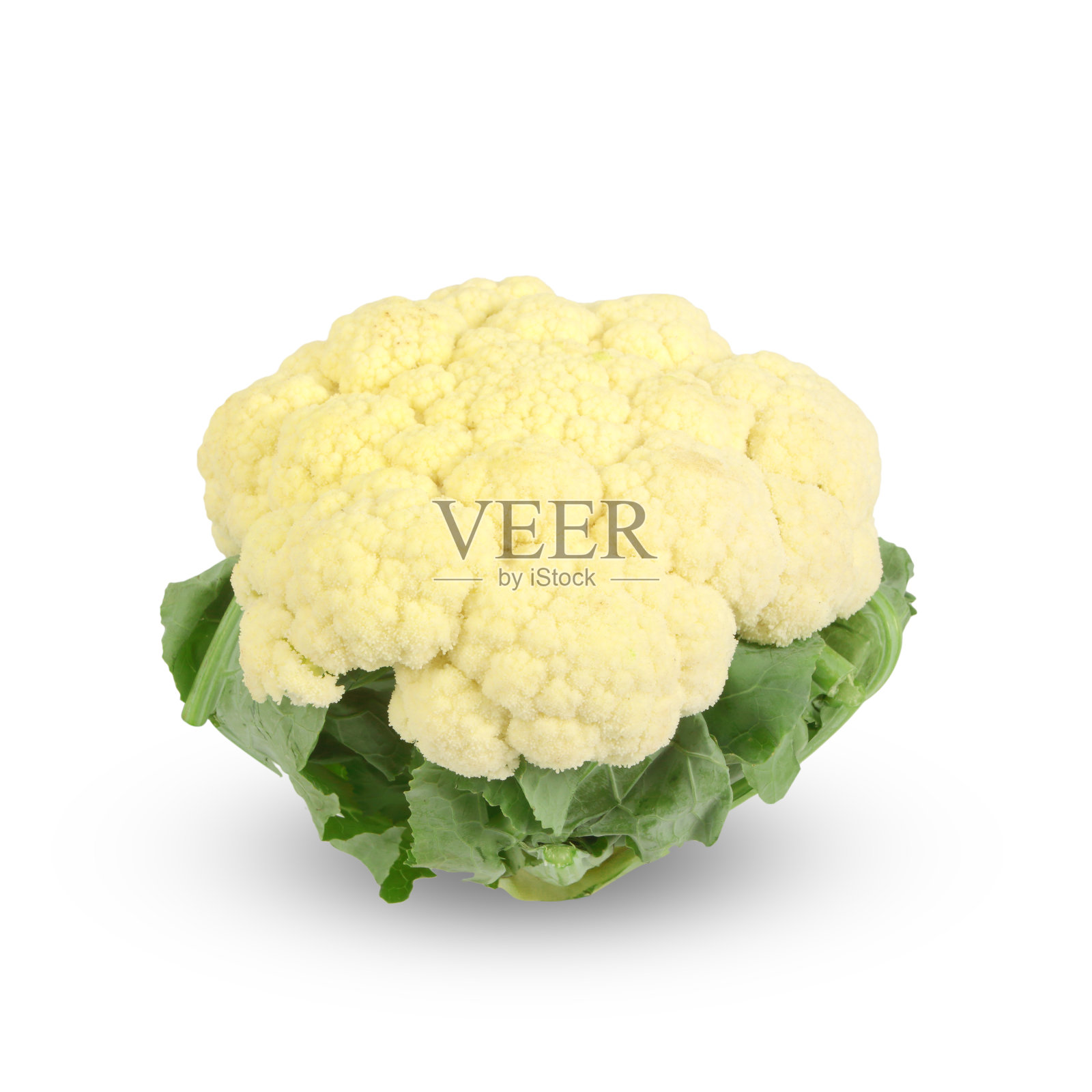 在白色背景上孤立的菜花照片摄影图片