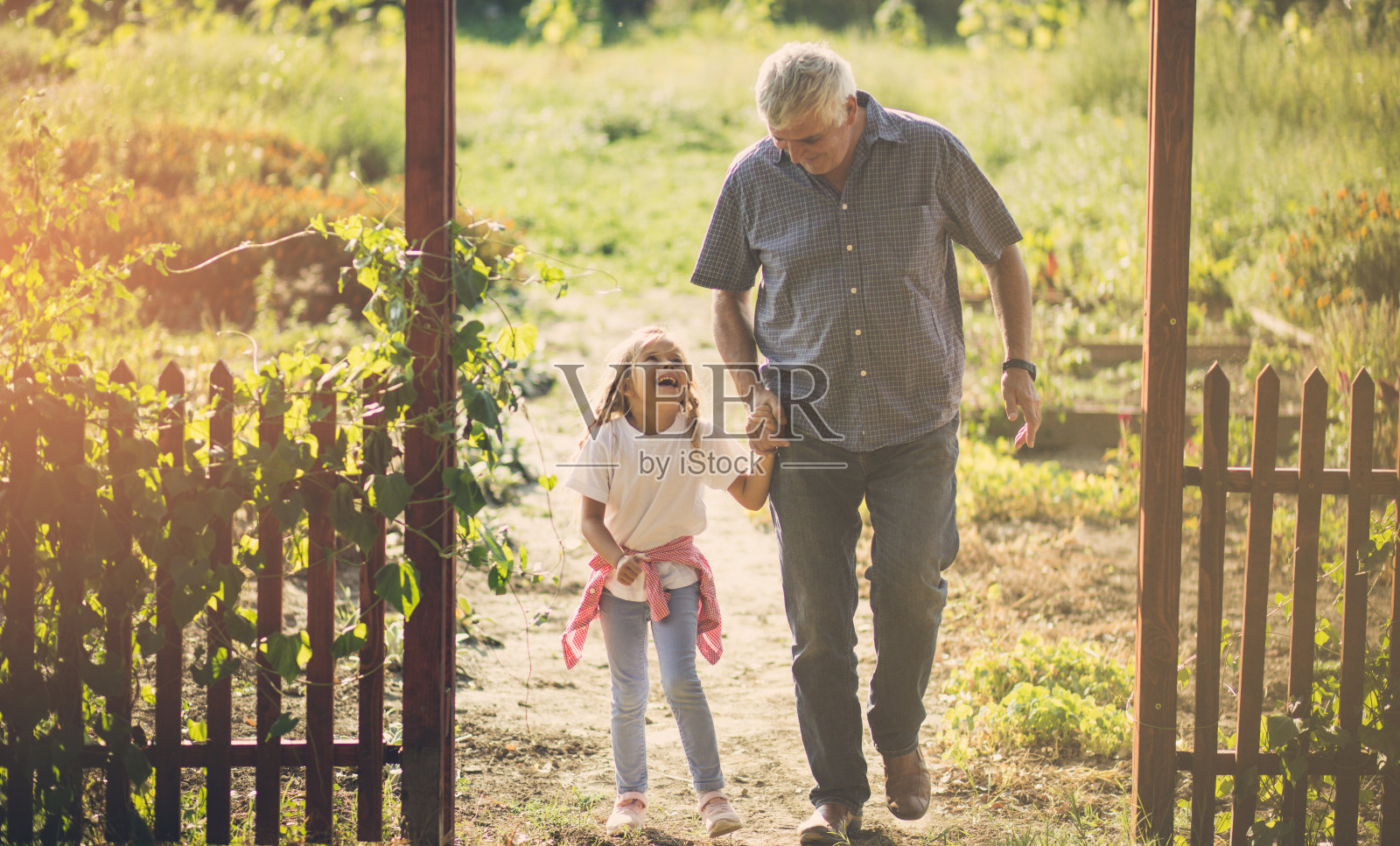 她喜欢和祖父谈话。照片摄影图片
