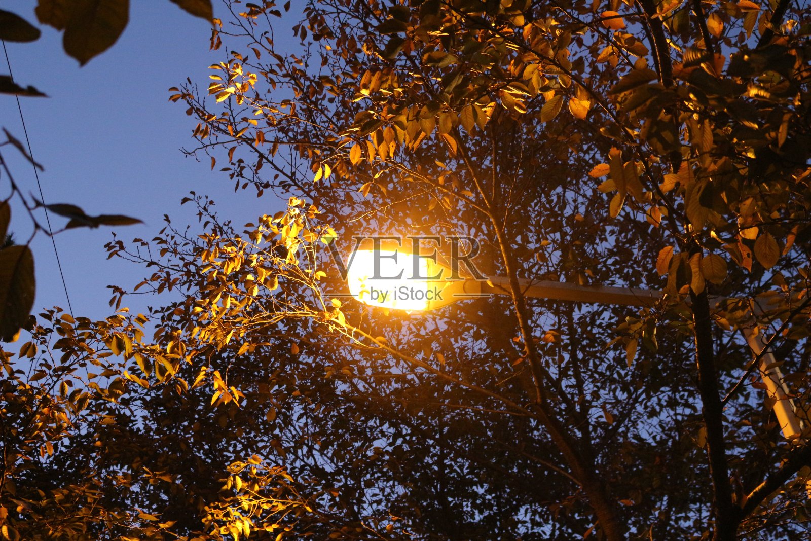 日落时的街灯照片摄影图片