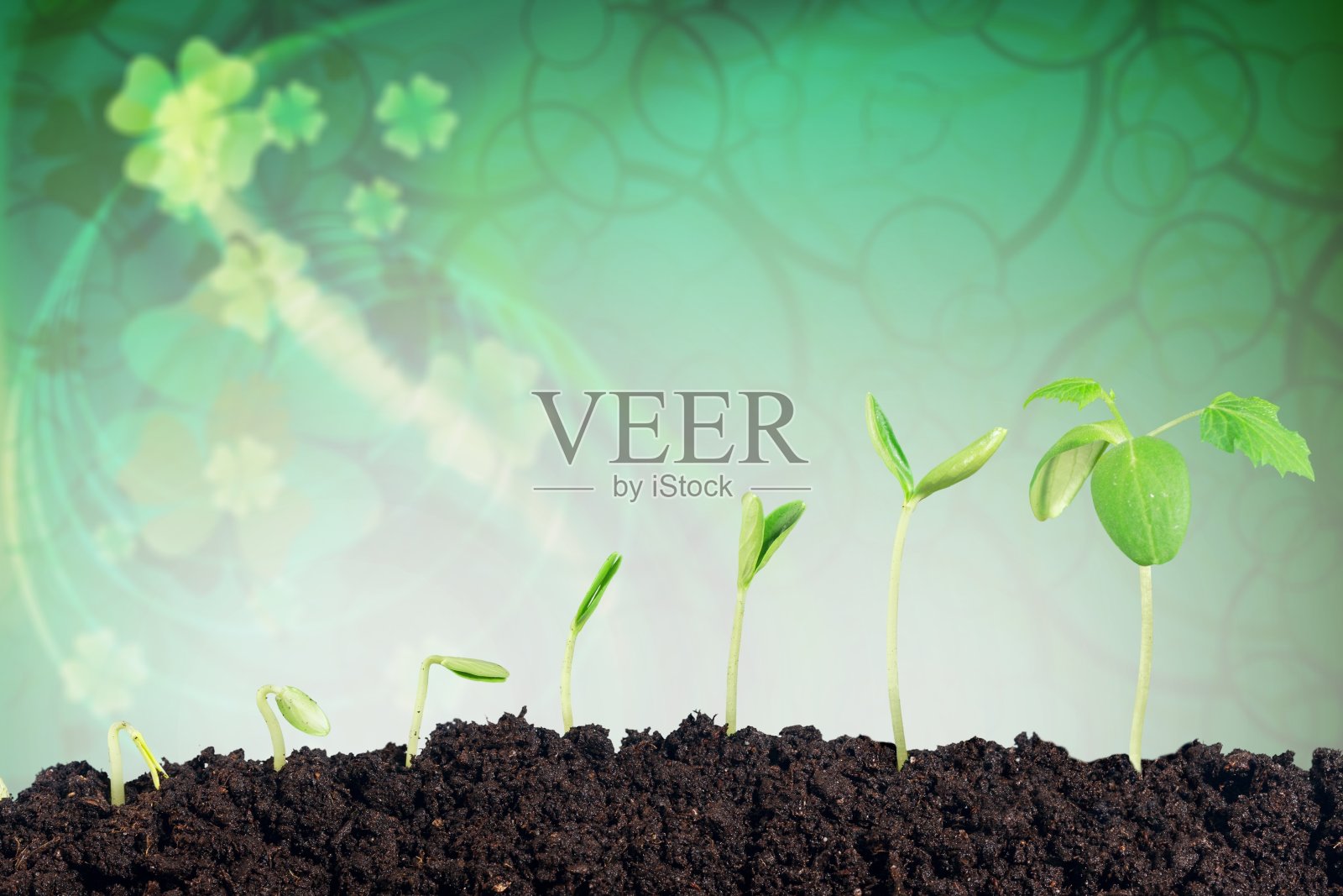 工厂。照片摄影图片