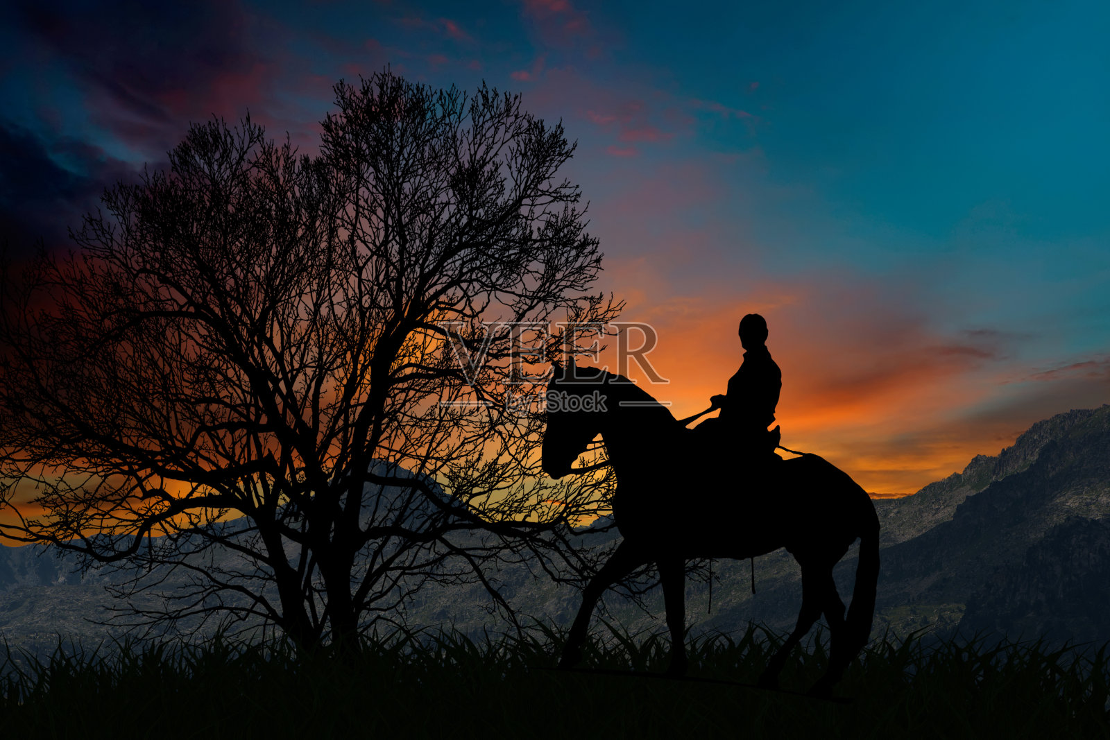 日落时分，一棵树旁骑着一匹马的剪影照片摄影图片