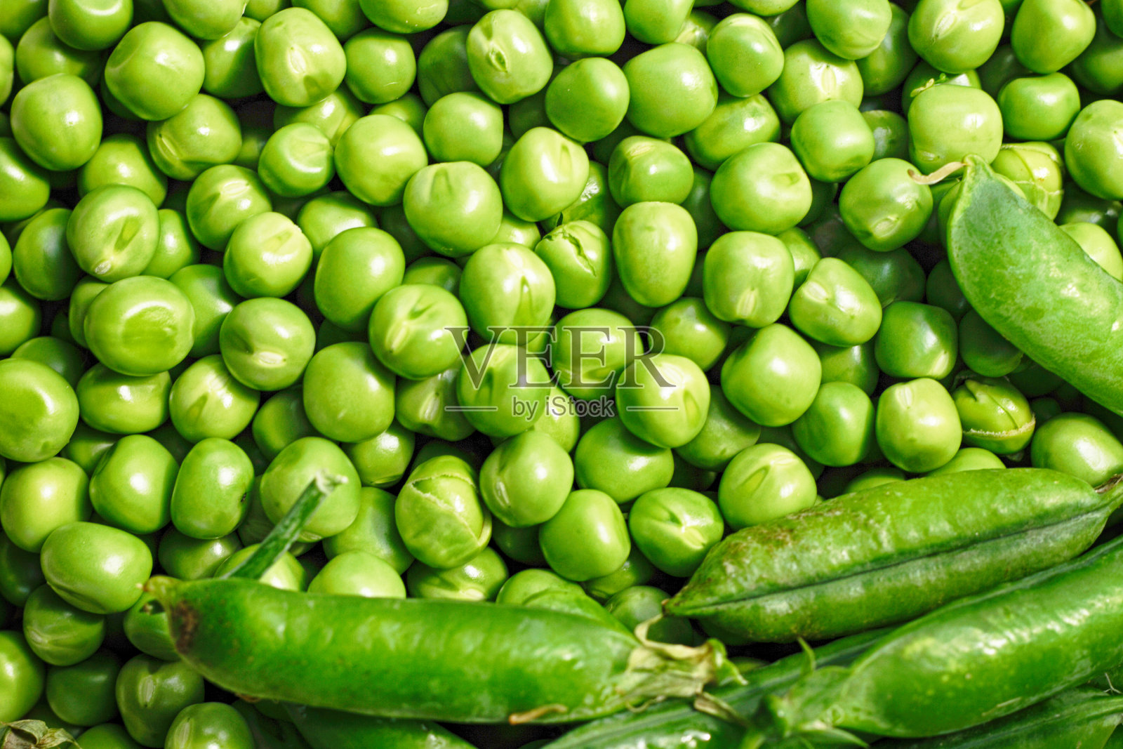 青豌豆照片摄影图片