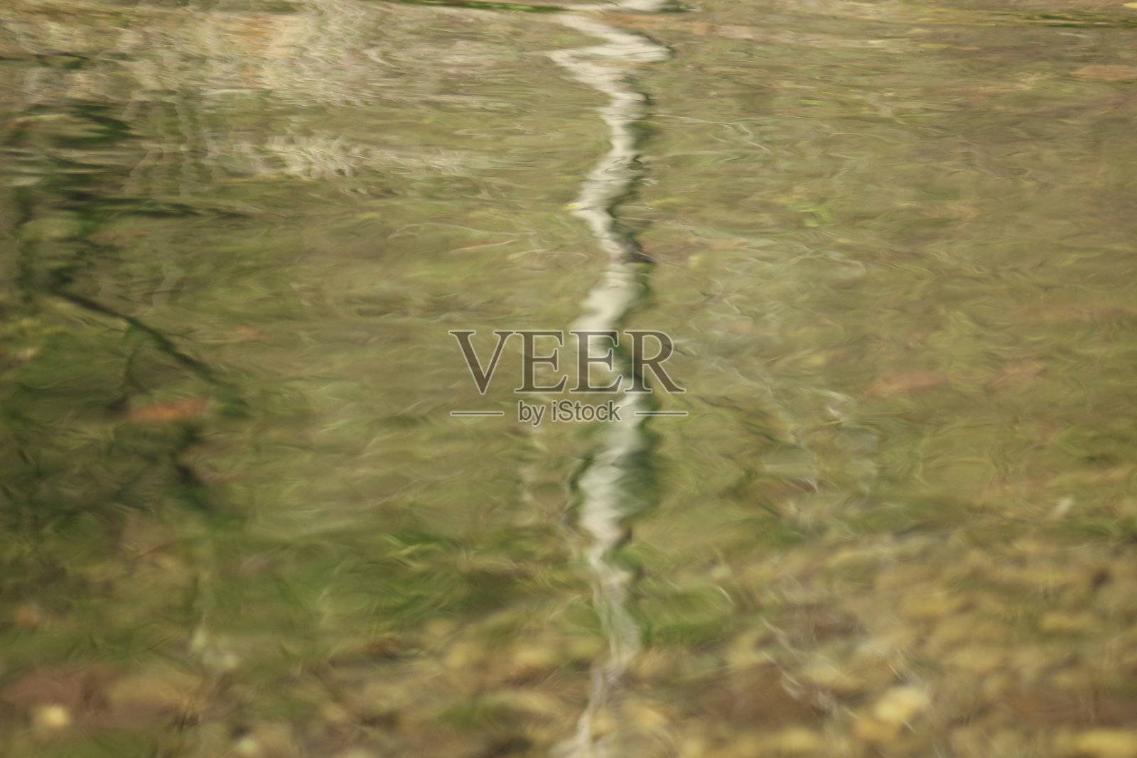 河上的森林树叶照片摄影图片