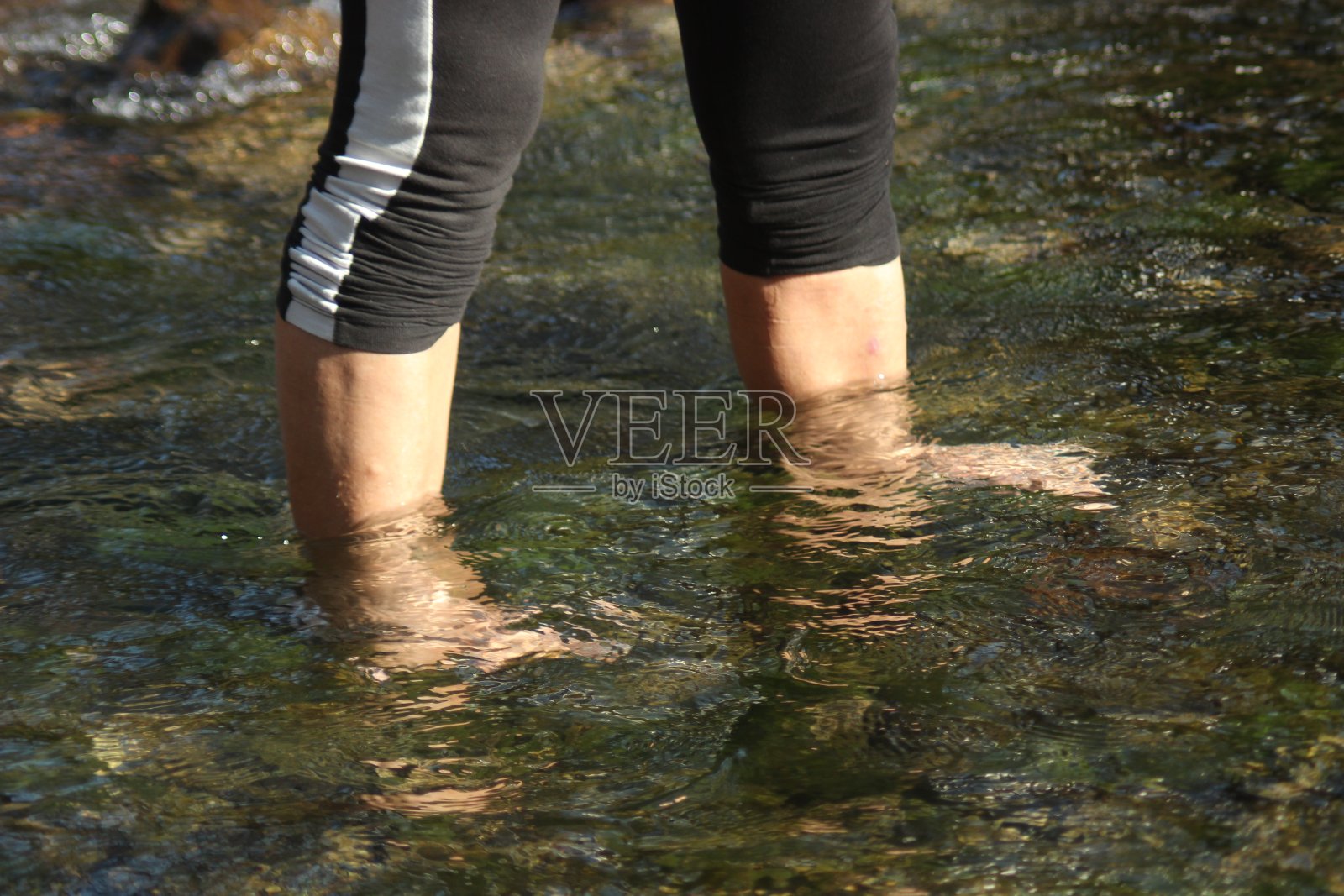 河上的森林树叶照片摄影图片