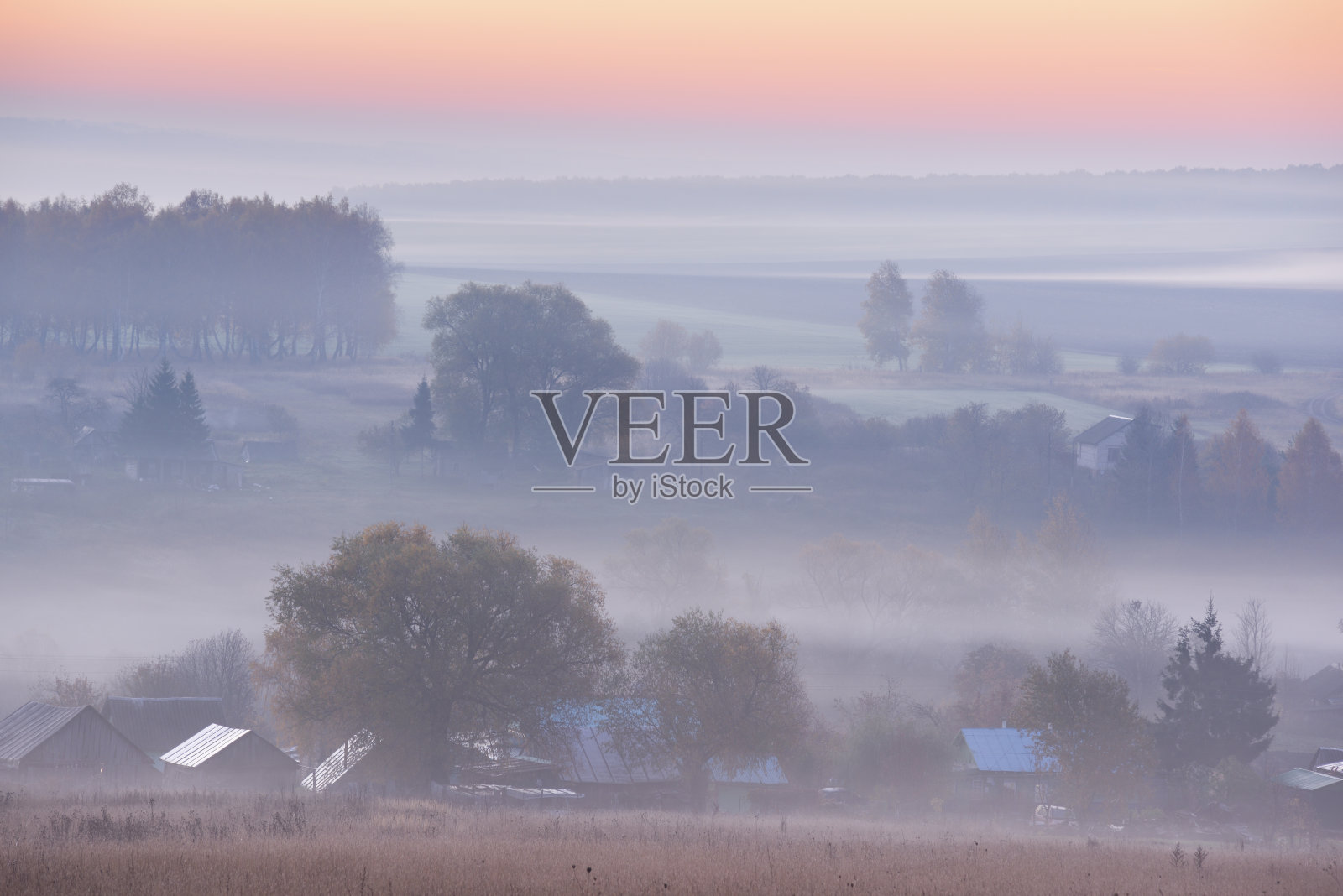 秋天的风景。田野和树木在雾日出蓝色的时刻照片摄影图片