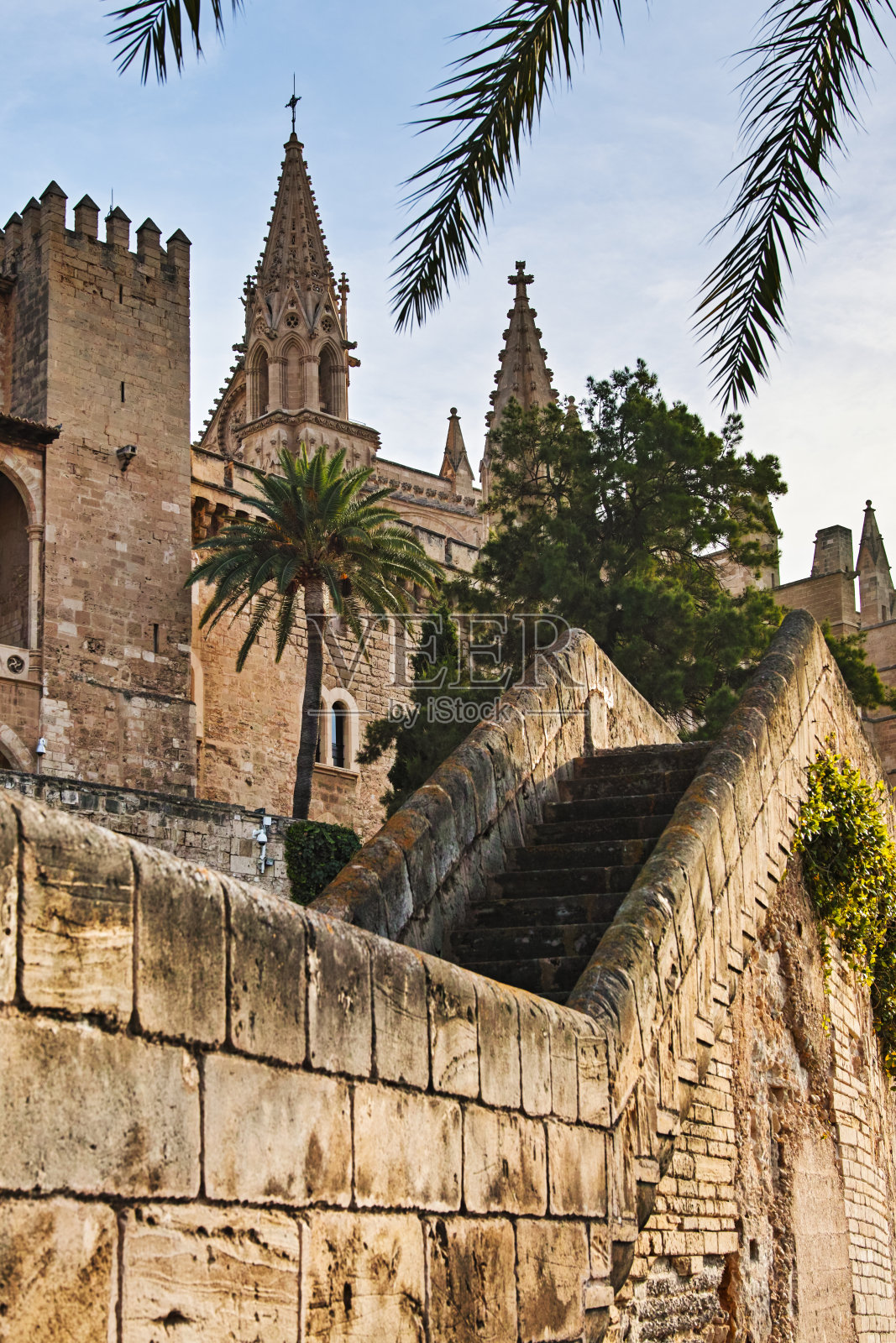 马略卡帕尔马的圣玛丽大教堂照片摄影图片