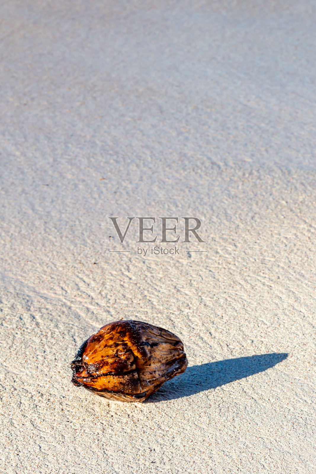 沙滩上的椰子照片摄影图片