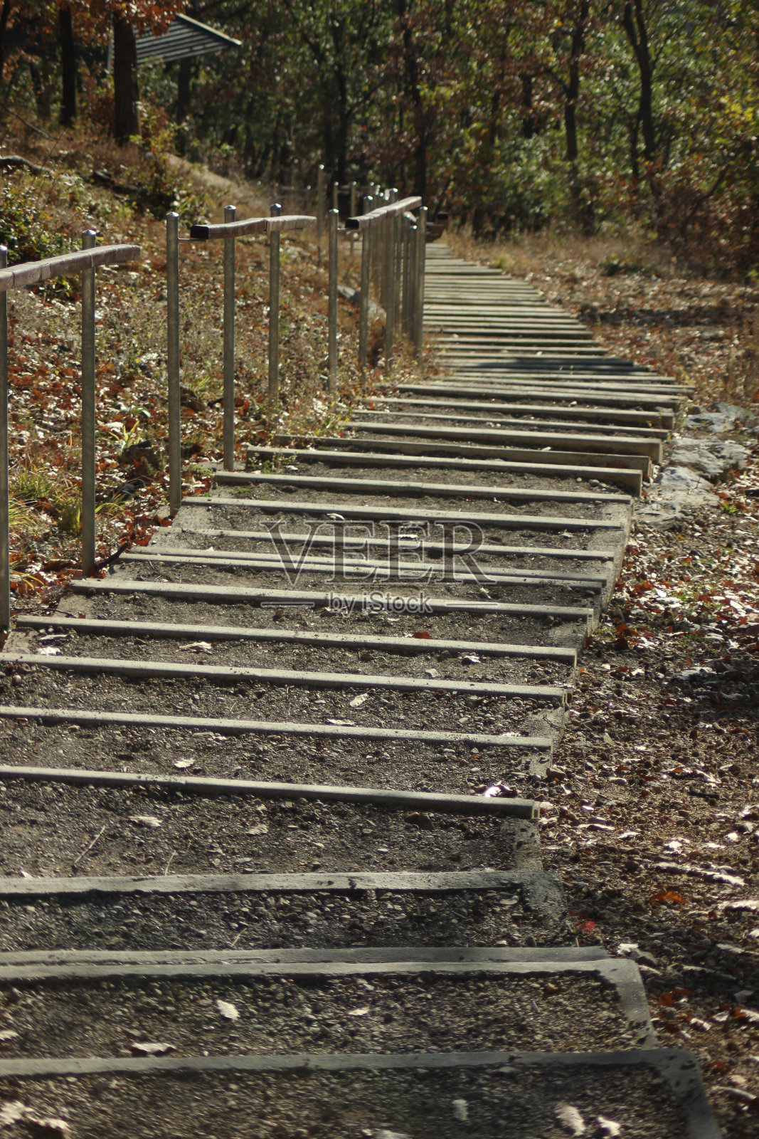 妇女在大自然中远足照片摄影图片