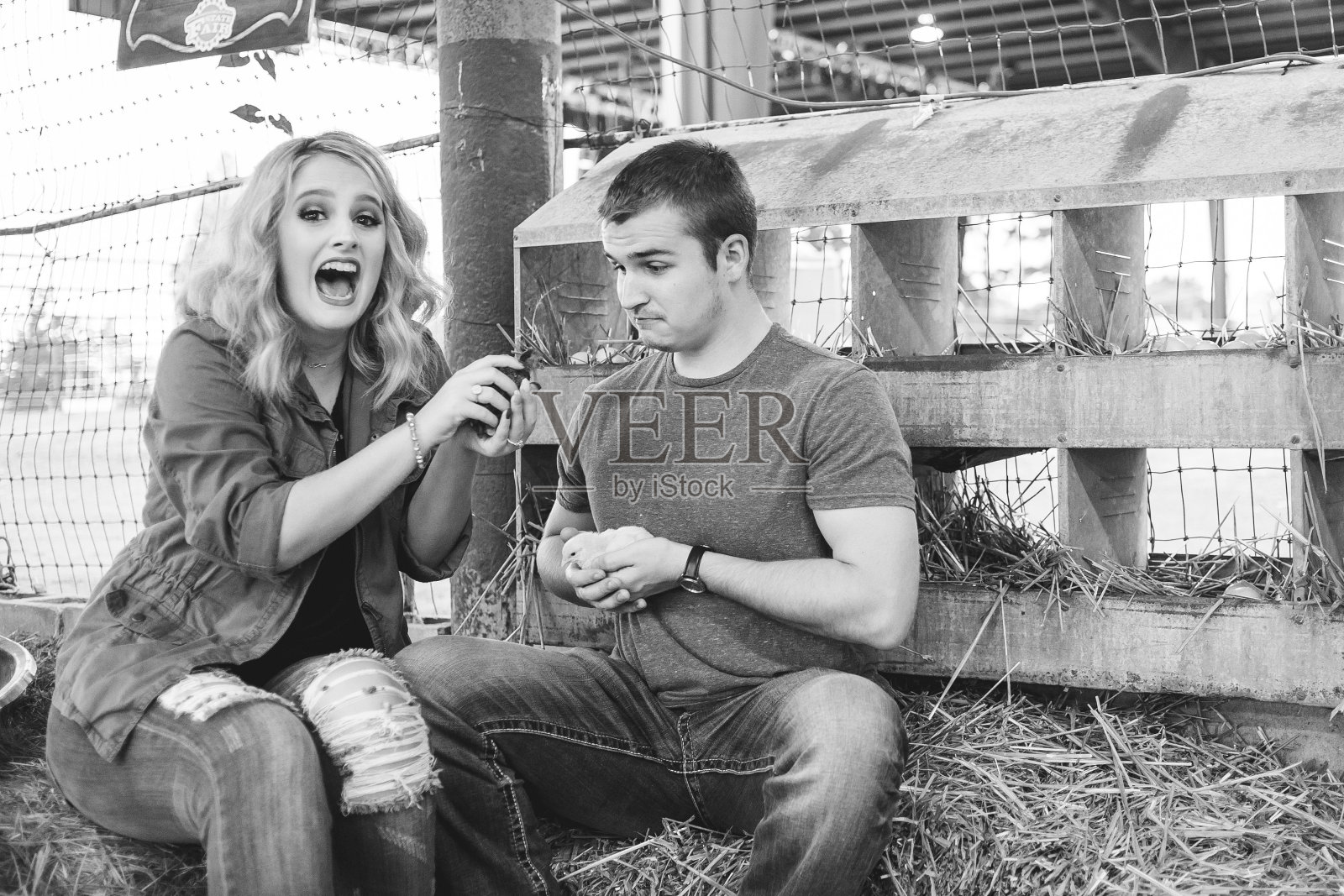 一些持有小鸡照片摄影图片