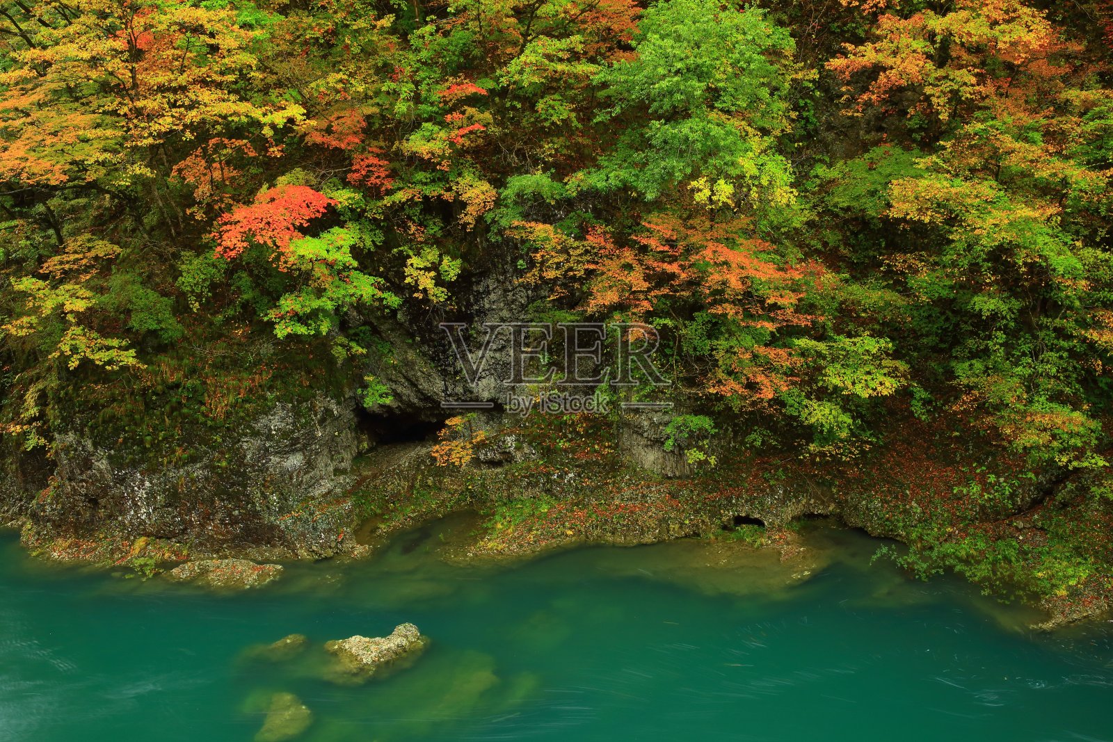 秋叶谷照片摄影图片
