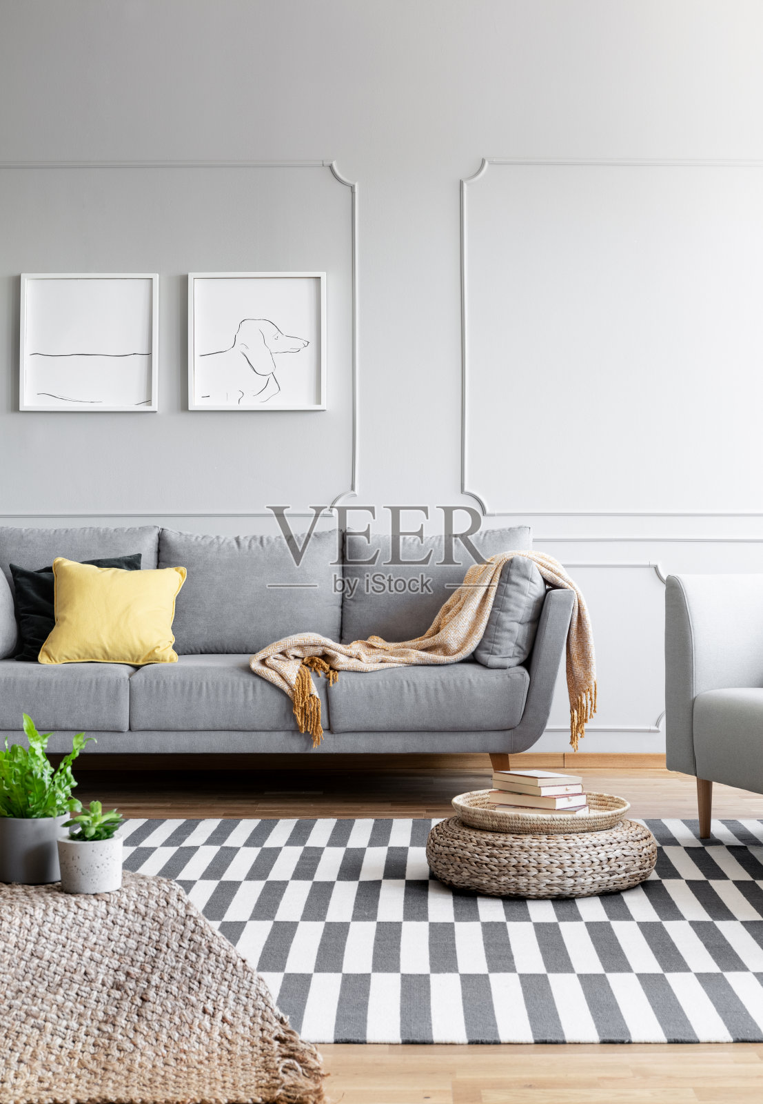 芥末毯子和黄色和黑色的枕头在灰色舒适的沙发宽敞时尚的内饰与墙上的造型，真实的照片照片摄影图片