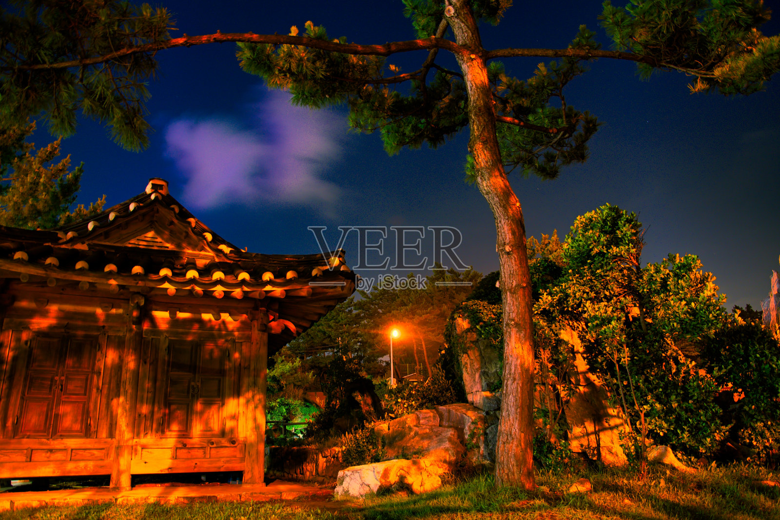 一个小神龛和松树在Chuam海滩VD702照片摄影图片