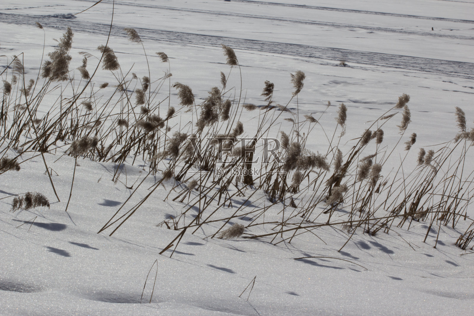 景观，冬天，湖泊，自然，雪照片摄影图片