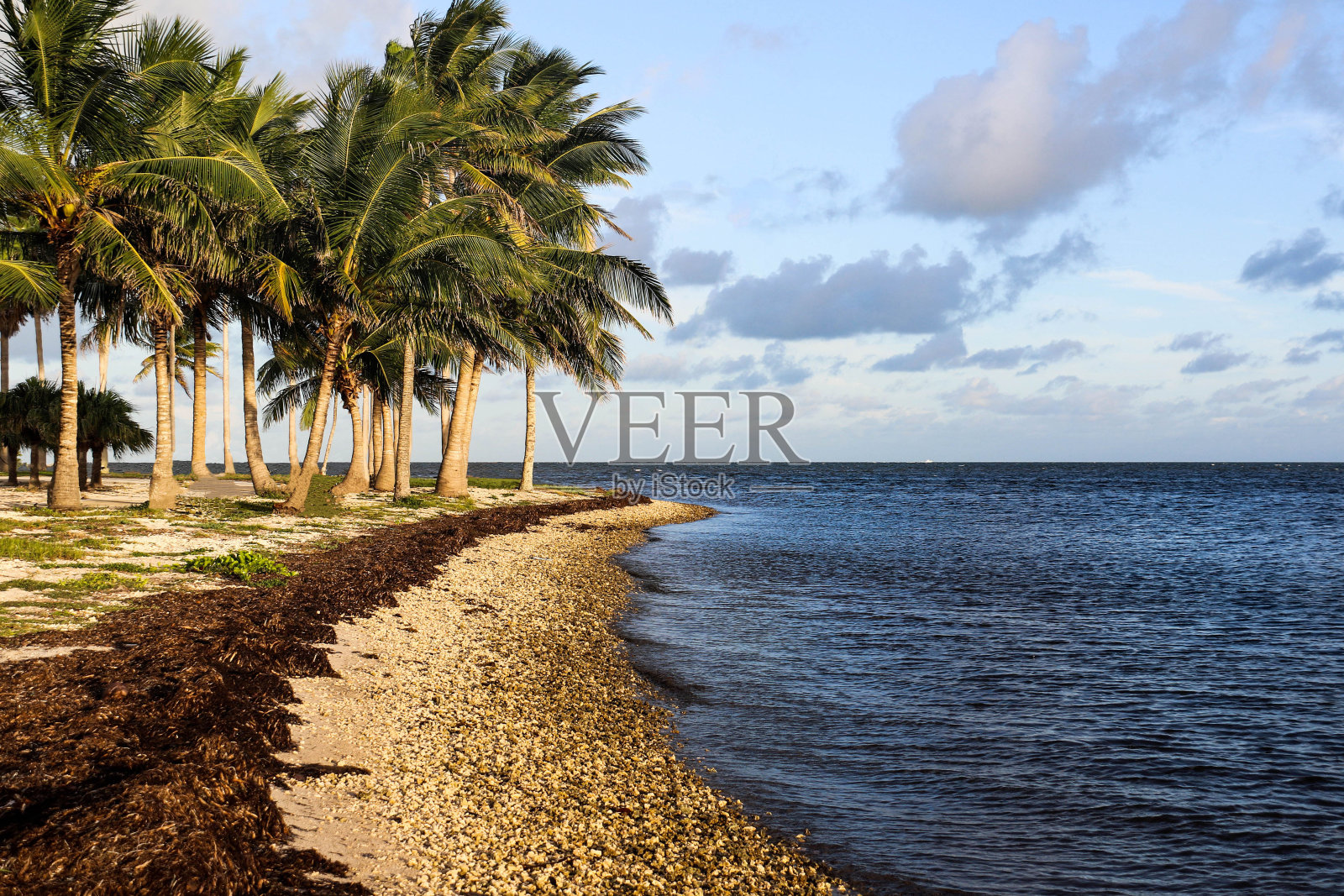 自由海岸照片摄影图片