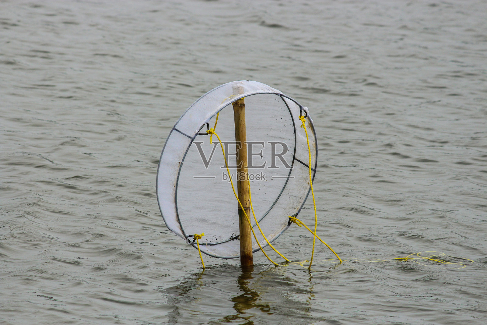 水池塘钓鱼照片摄影图片