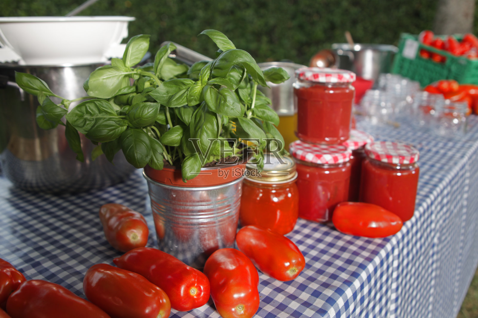 番茄泥照片摄影图片